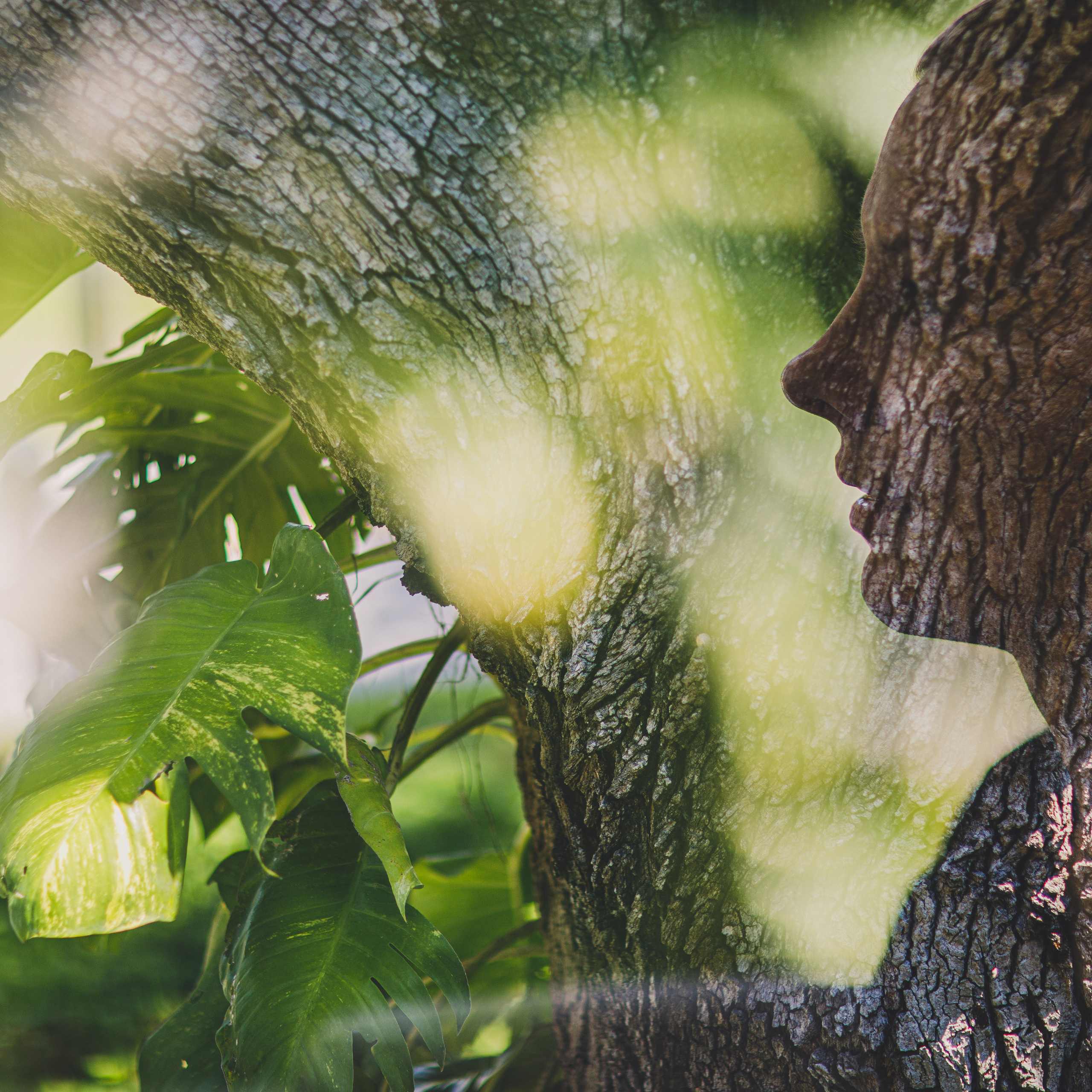 Feedback. Fine Art Photography by Ksenia Mirnaya