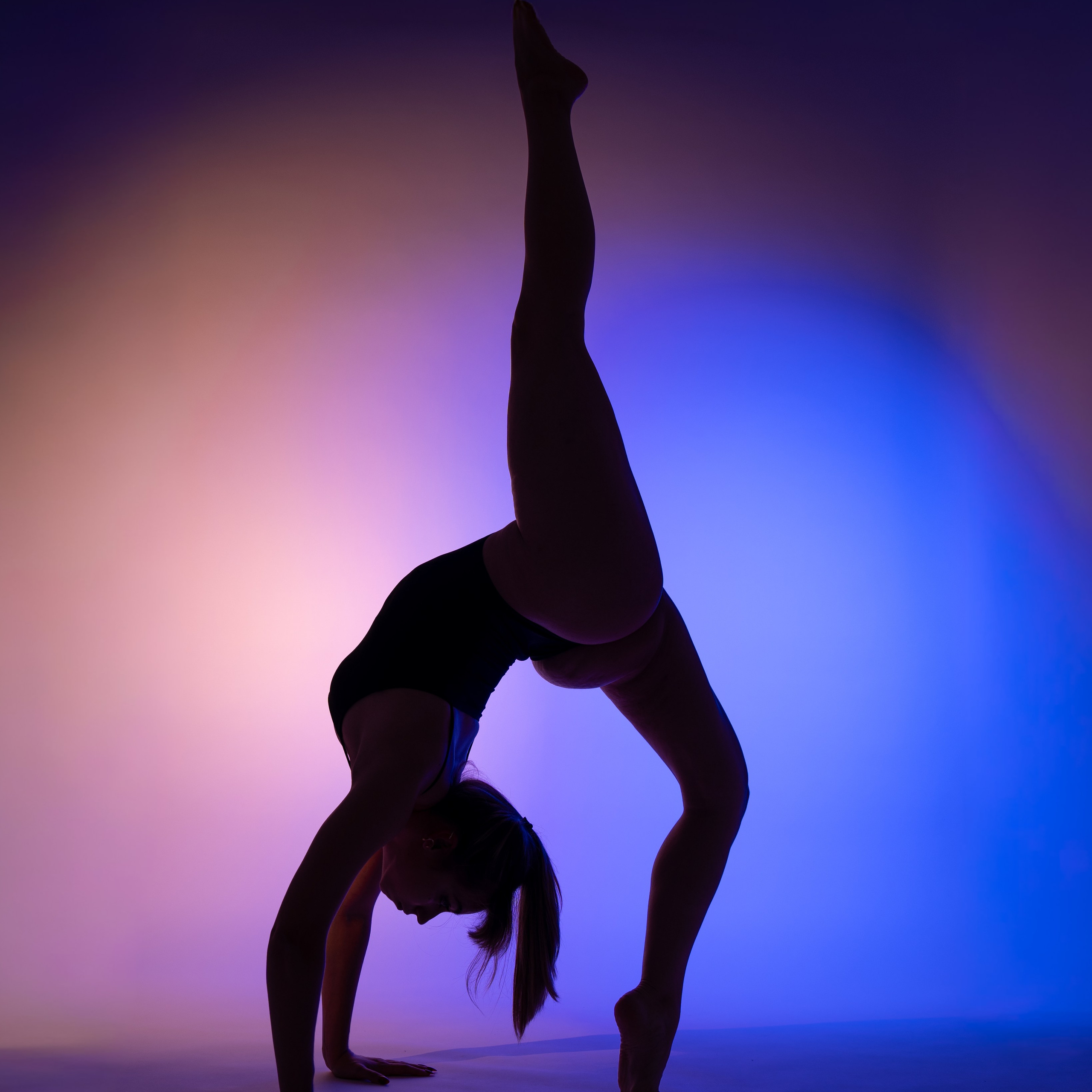 Danza Artistica