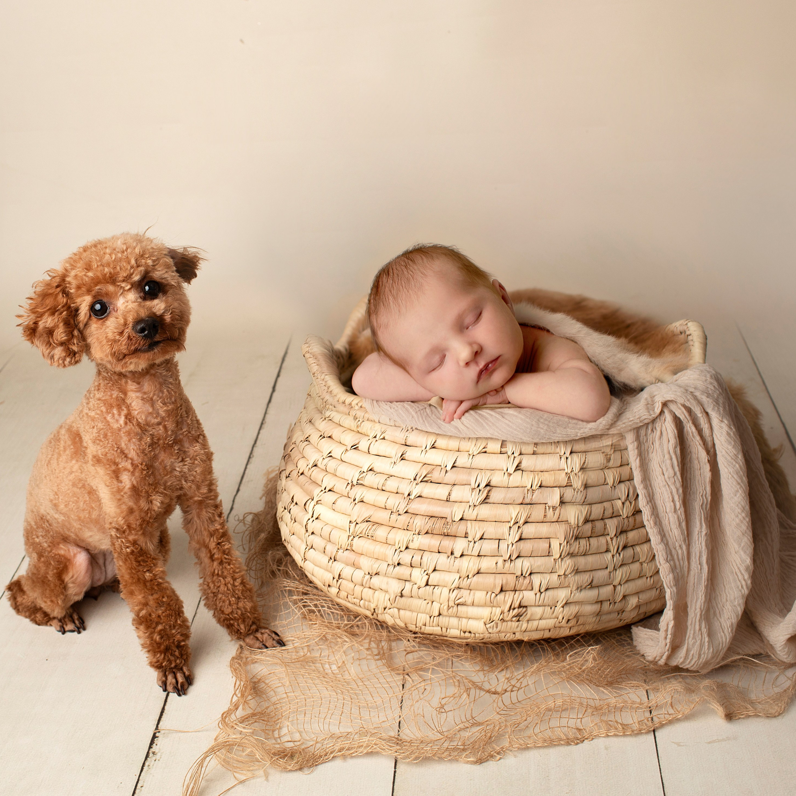 Recensioner. Axlundphotography.se