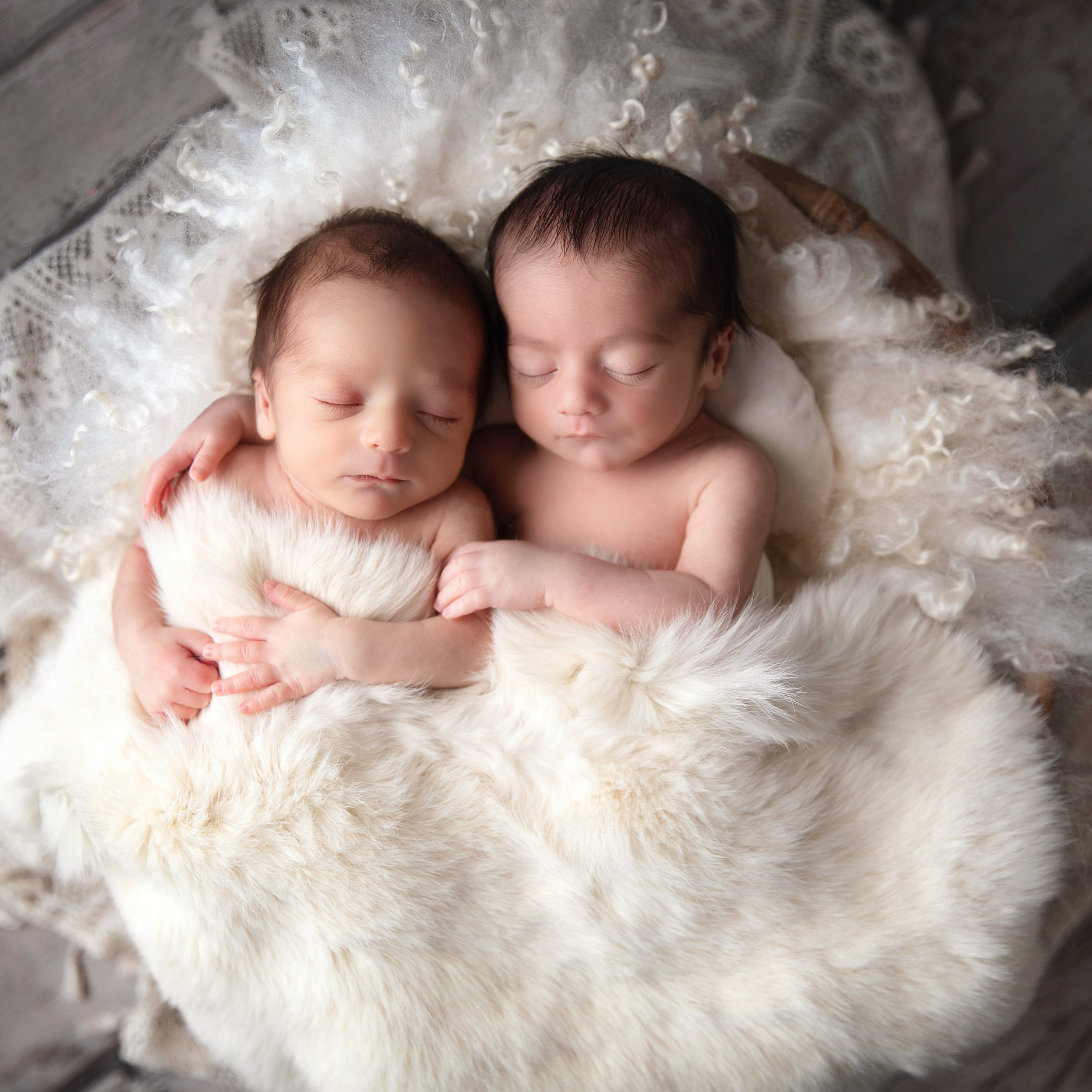 Två nyfödda barn som sover i en trygg och varm miljö. Perfekt för att visa upp professionella nyfödda fotograferingstjänster och babyfotografier."