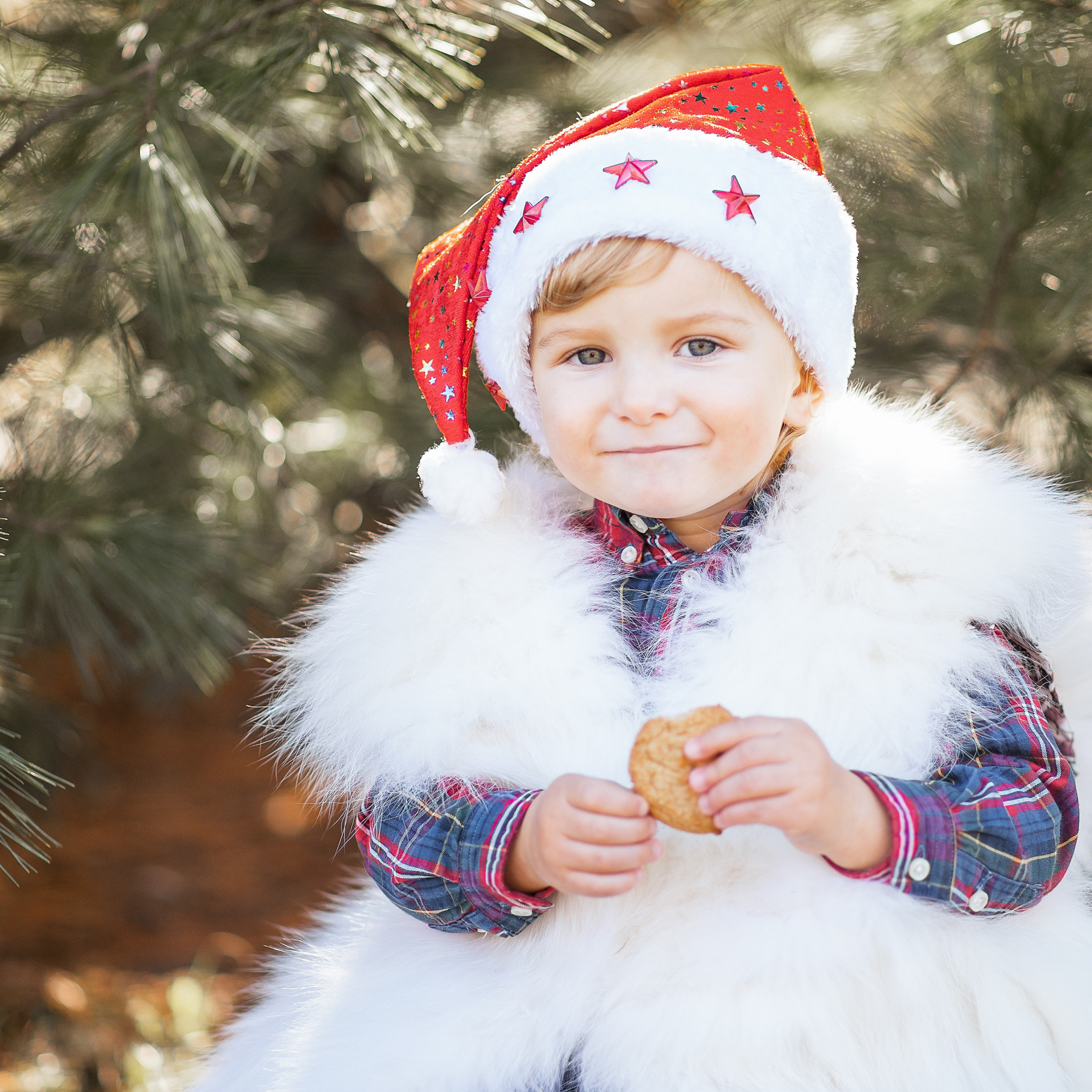 Testimonials. Family and kids photographer Anastasiya Hanush in Massachusetts