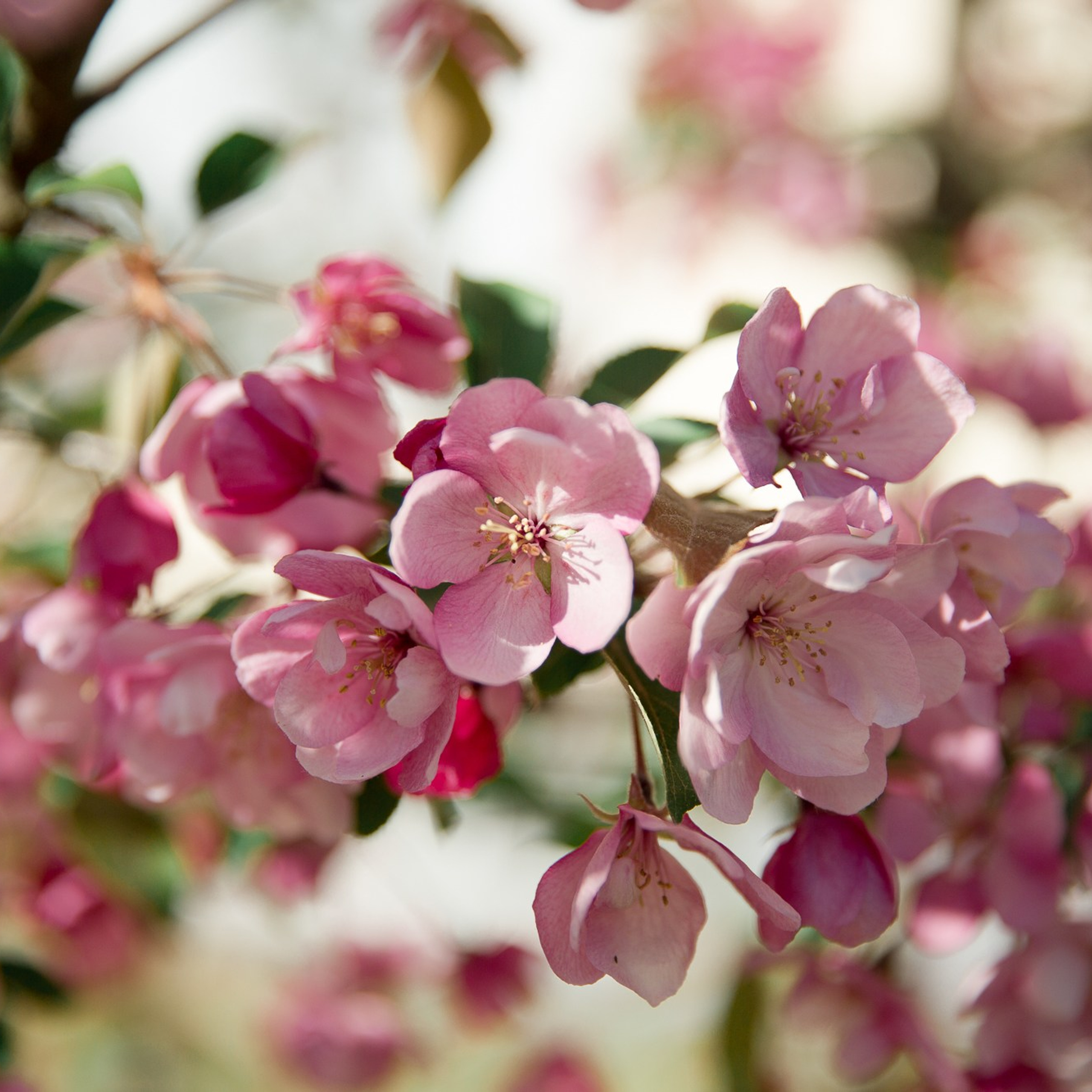 Destination fine art wedding photographer Europe