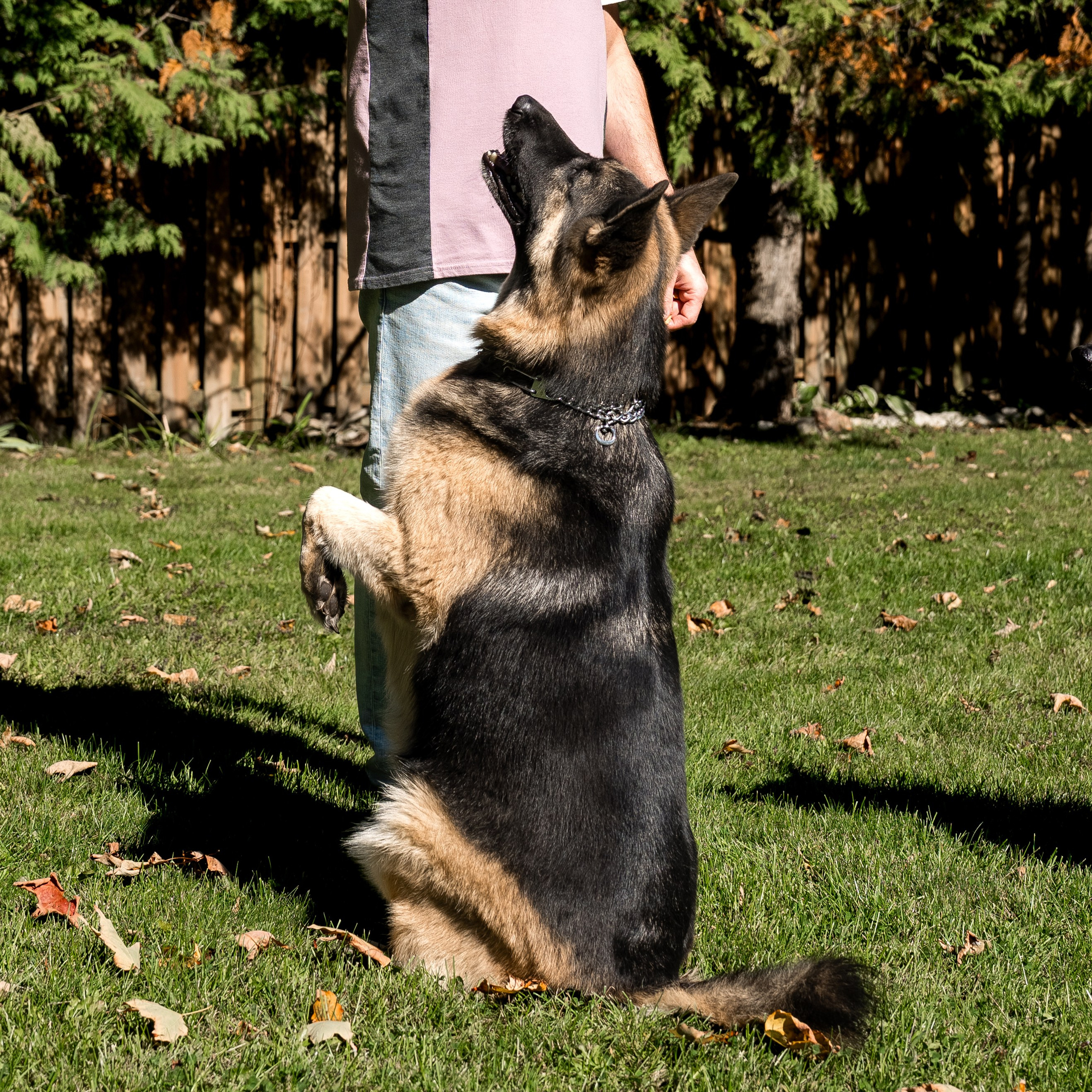 Real Experiences Shared by My Clients. Photographer | Toronto (GTA)