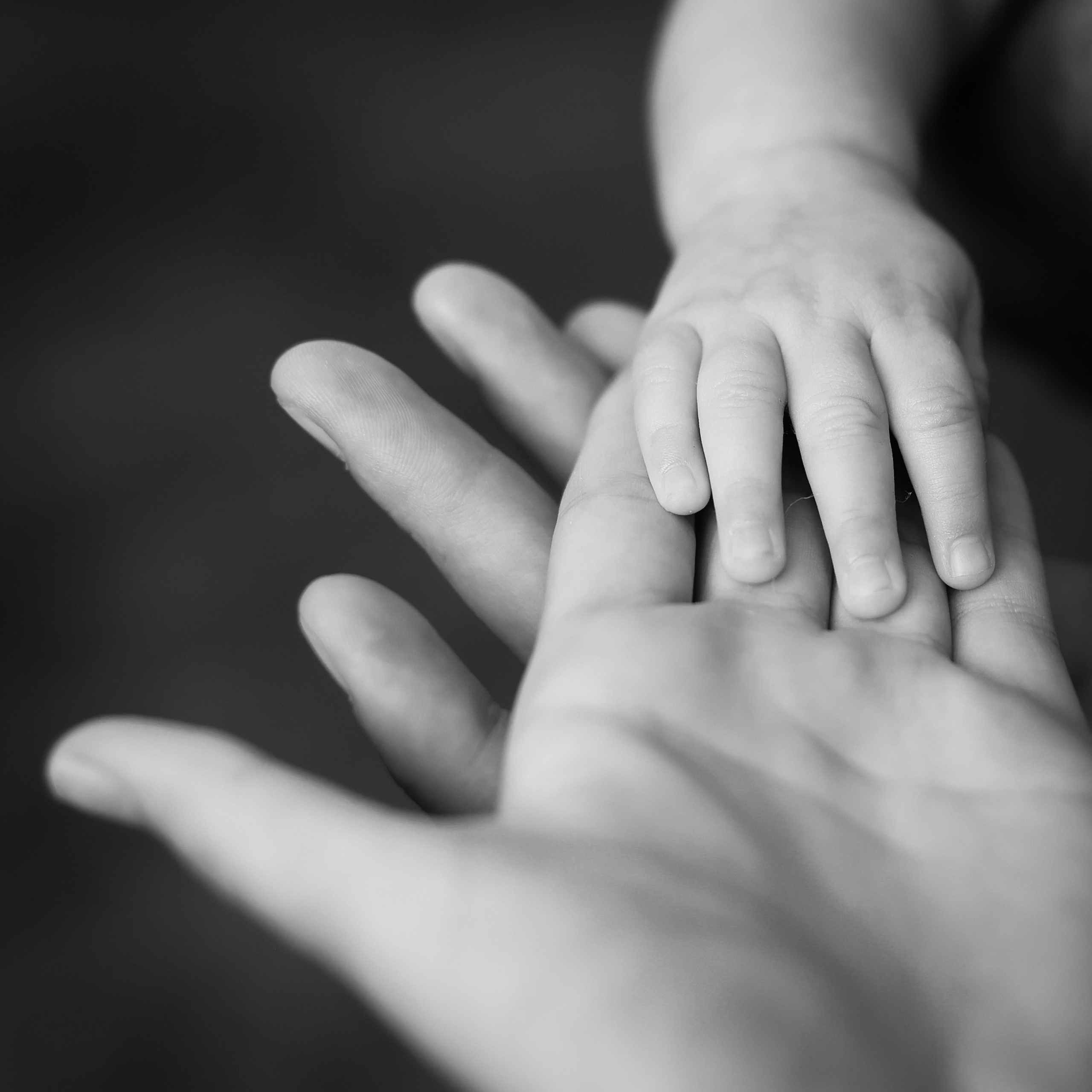 Porodične fotografije