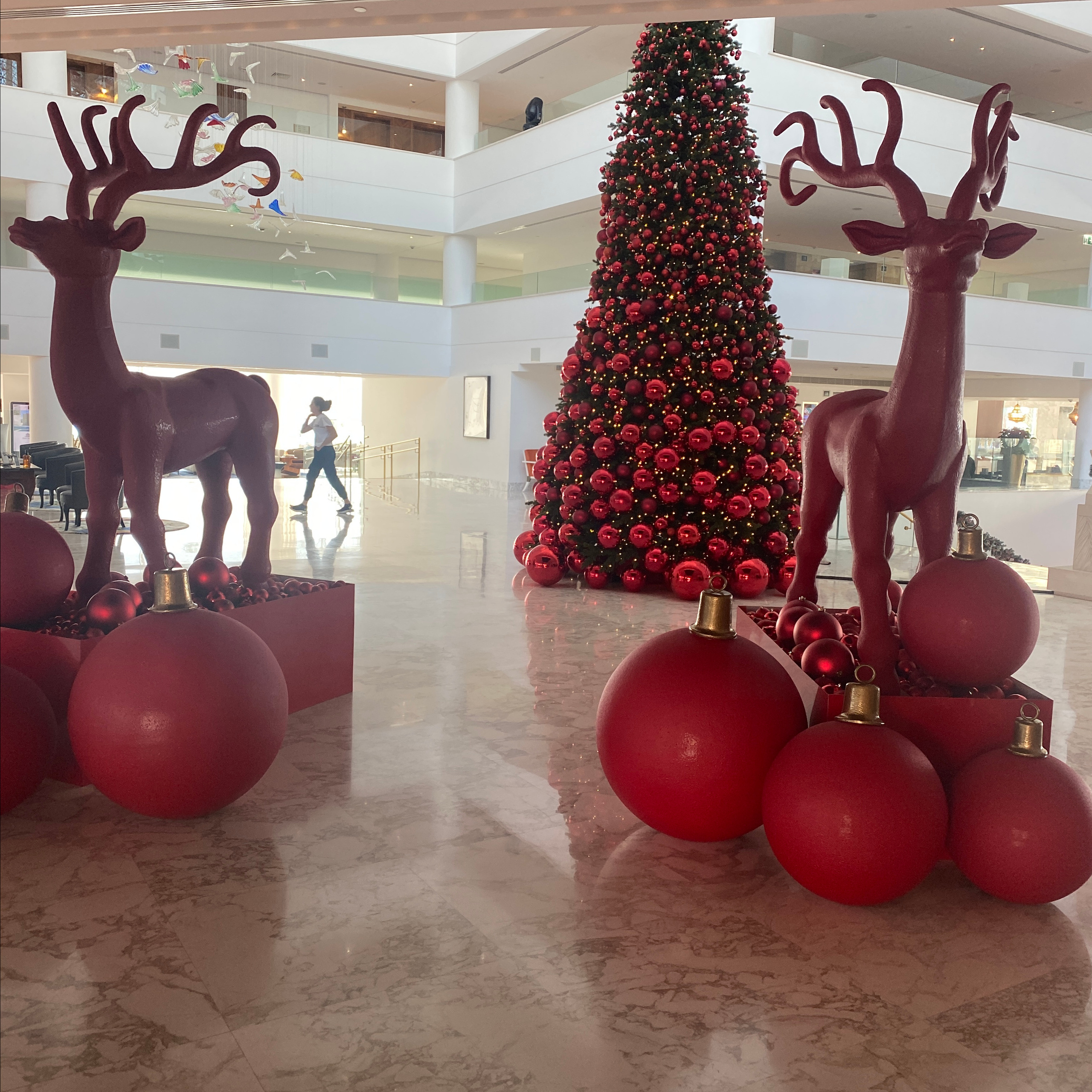 Testimonials. Photographer in Cyprus Lena Kirilishina