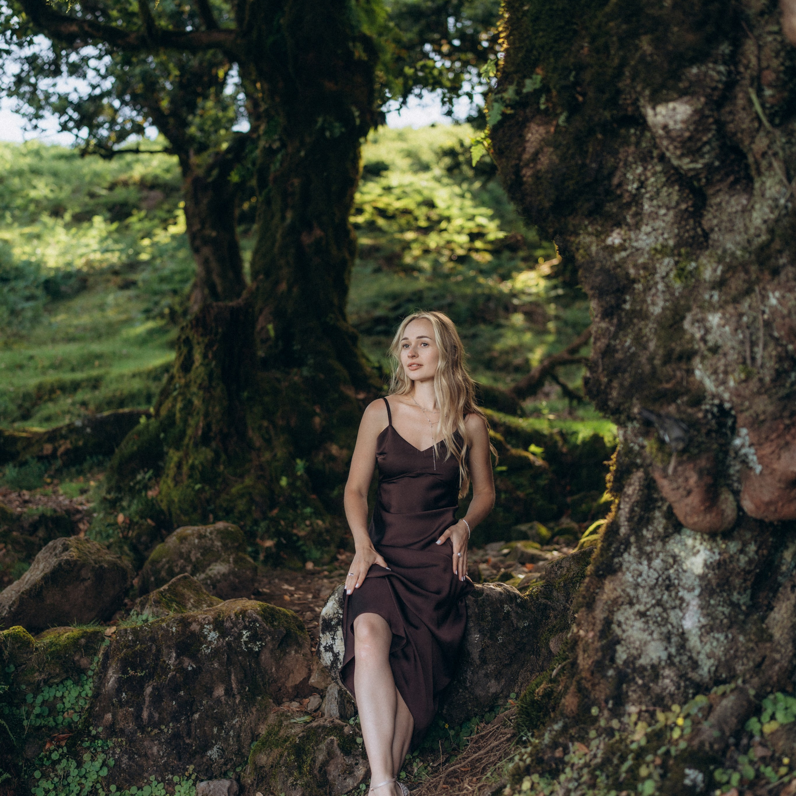 Reviews. Elumi Madeira Photographer