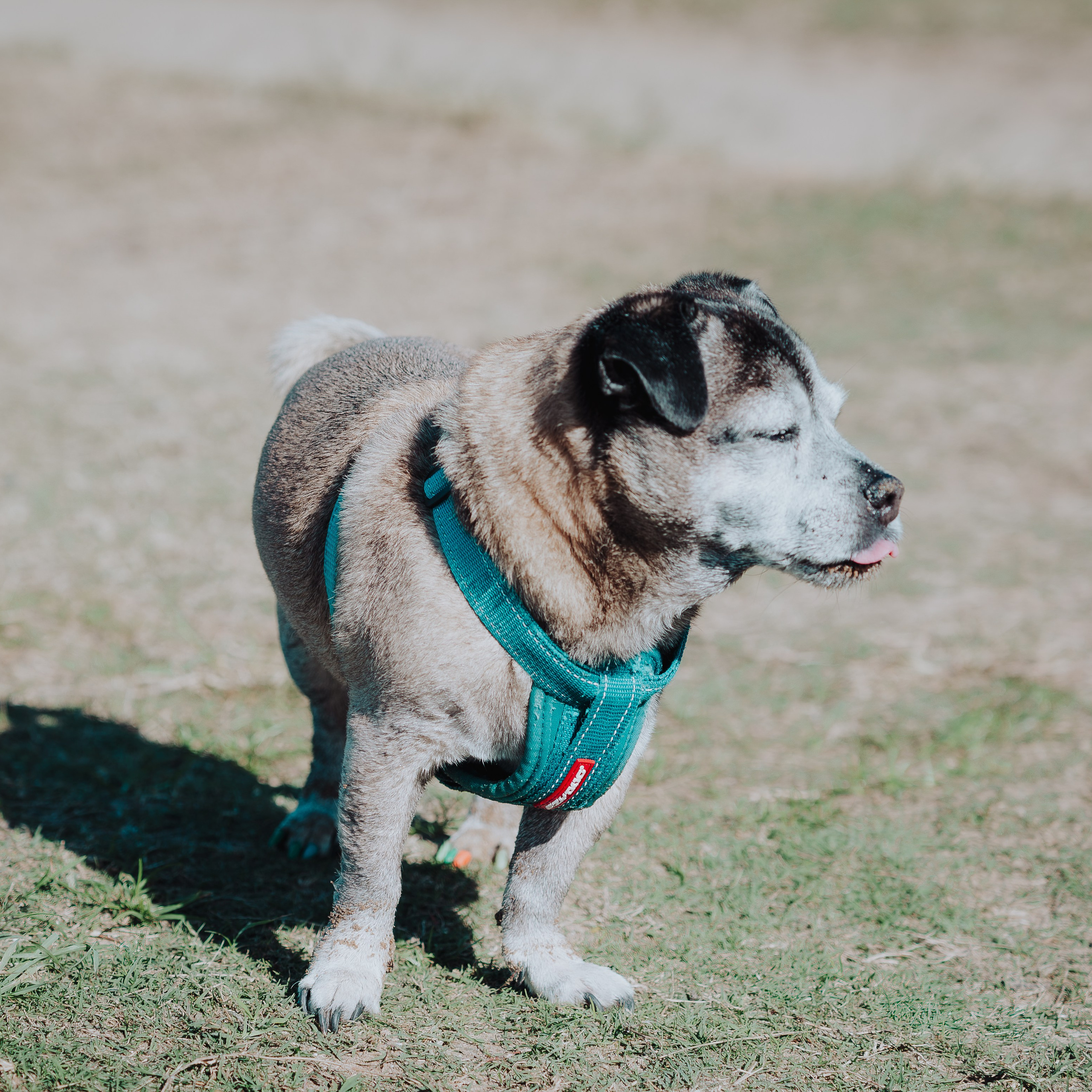 Sunday Nudgee Beach. JS Photoshoot | Family, Events & Pet Photographer in Brisbane