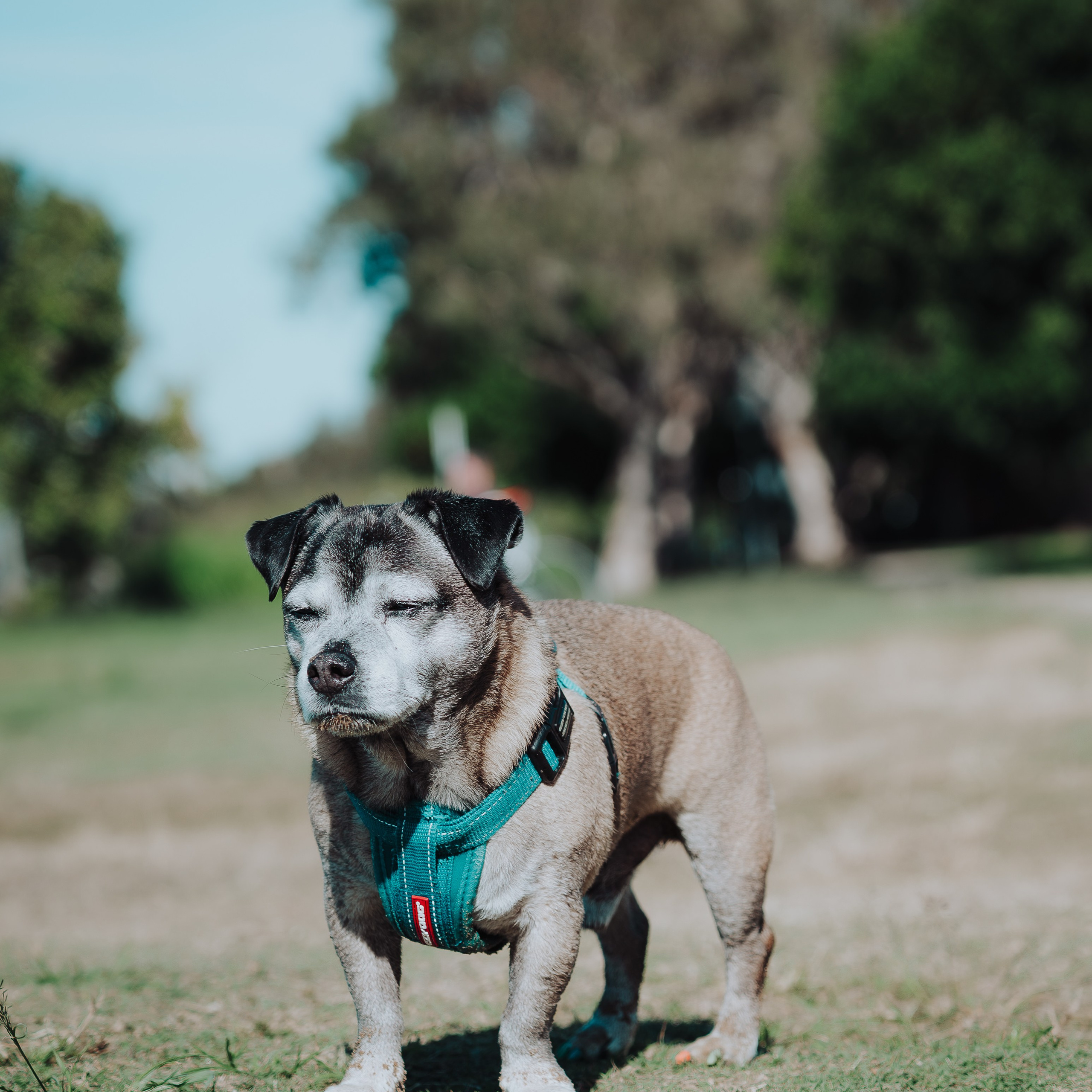 Sunday Nudgee Beach. JS Photoshoot | Family, Events & Pet Photographer in Brisbane