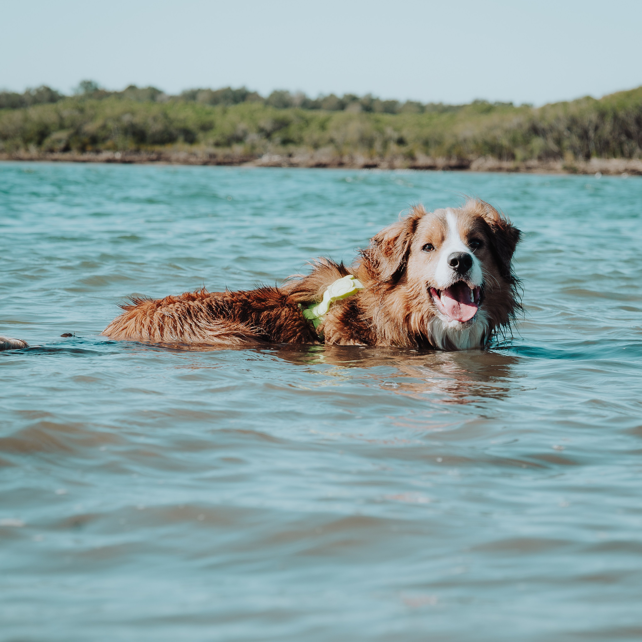 Sunday Nudgee Beach. JS Photoshoot | Family, Events & Pet Photographer in Brisbane
