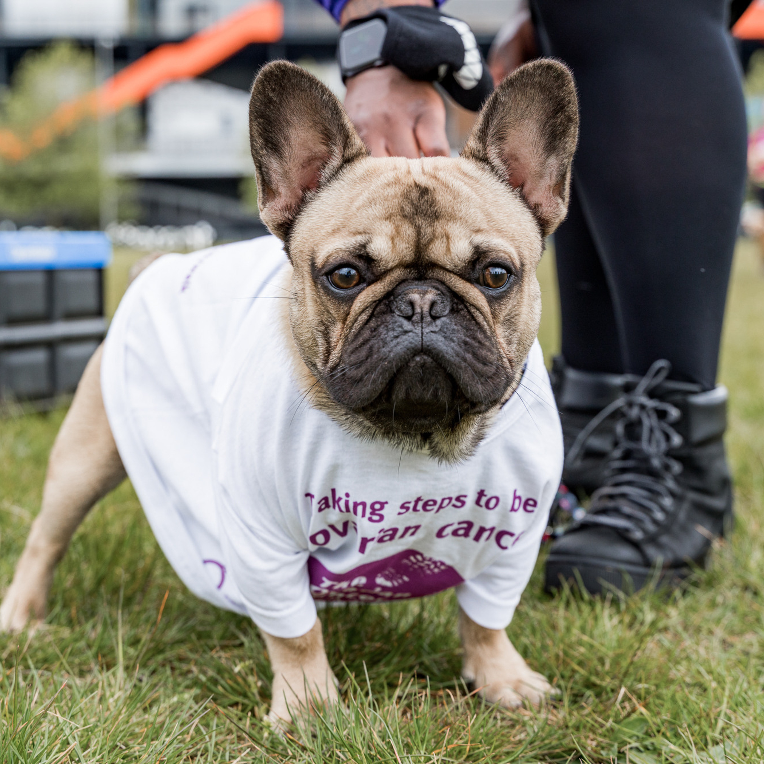 Reviews of the work of photographer Ekaterina Romanova. Photographer in England Ekaterina Romanova