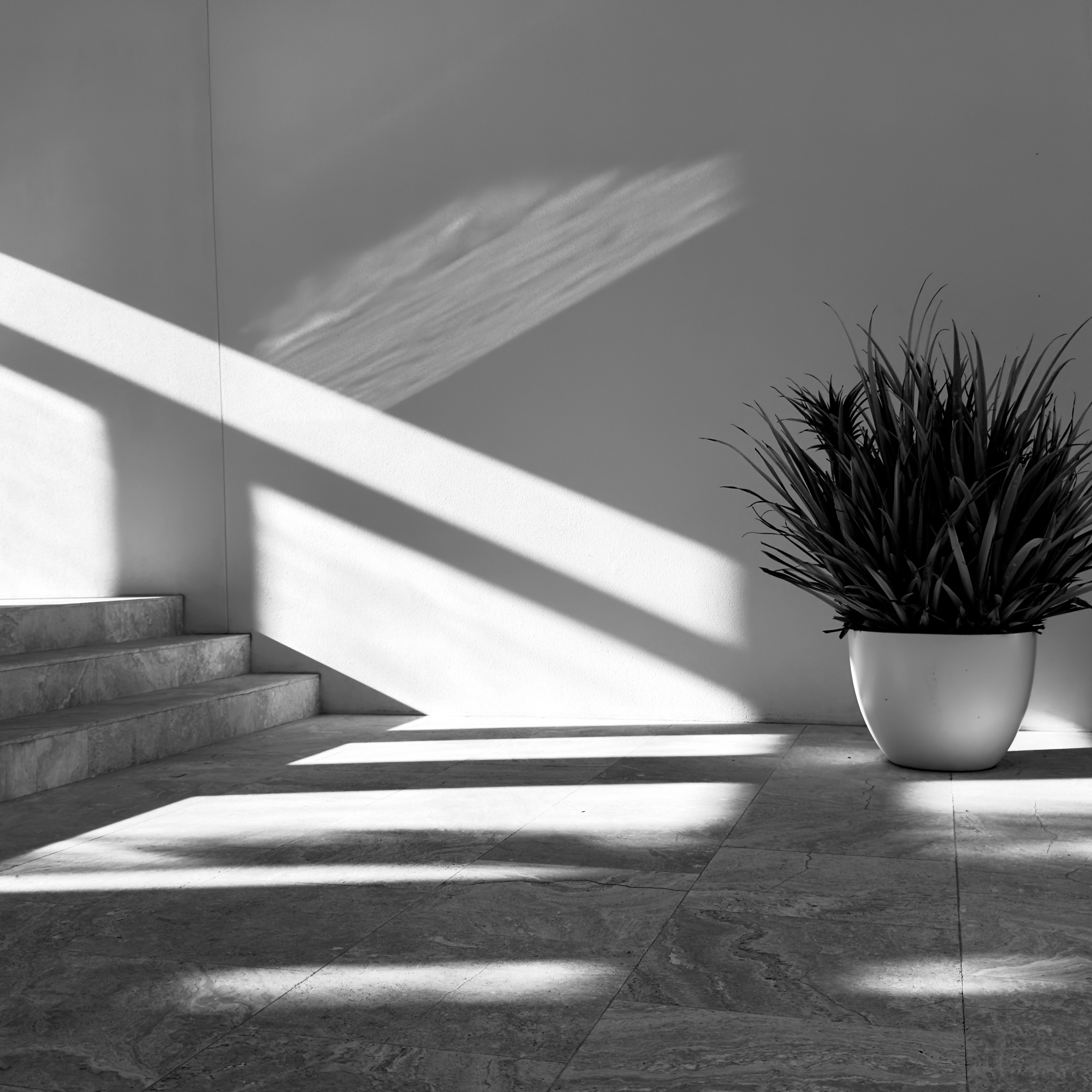 LOOKING AGAIN. Julia Kantor | Architecture & Abstract Photographer