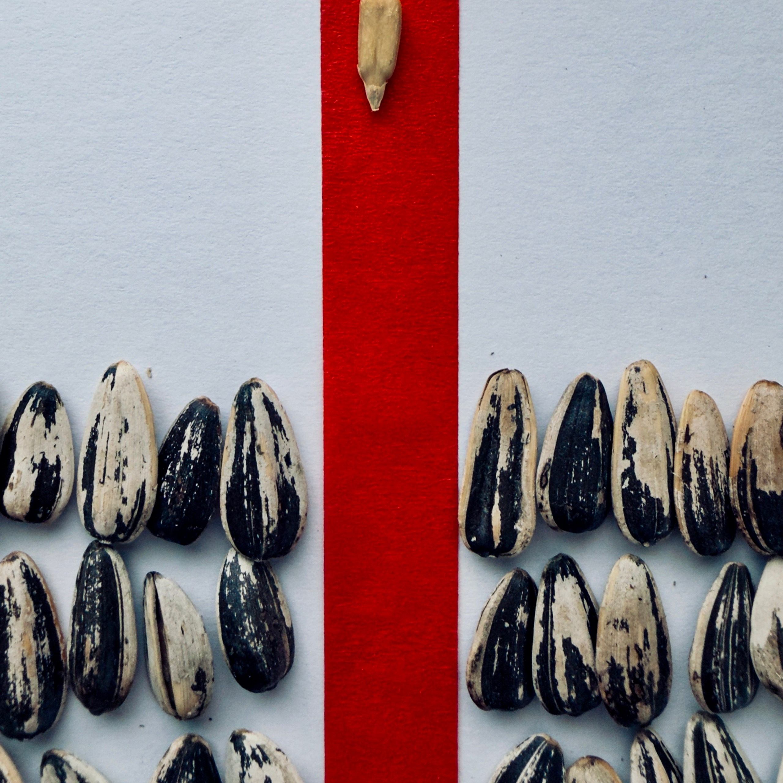 SEEDS. Julia Kantor | Architecture & Abstract Photographer