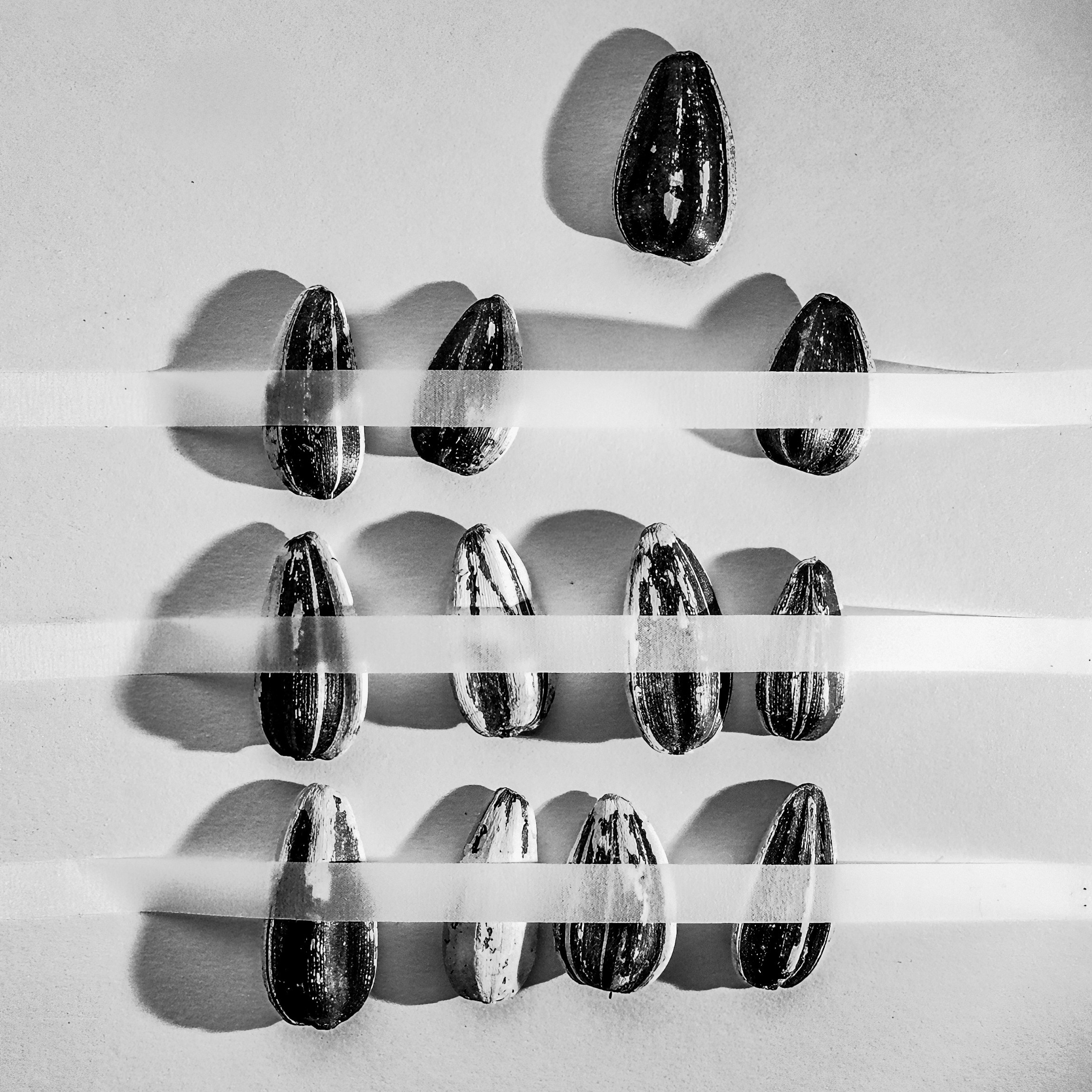 SEEDS. Julia Kantor | Architecture & Abstract Photographer