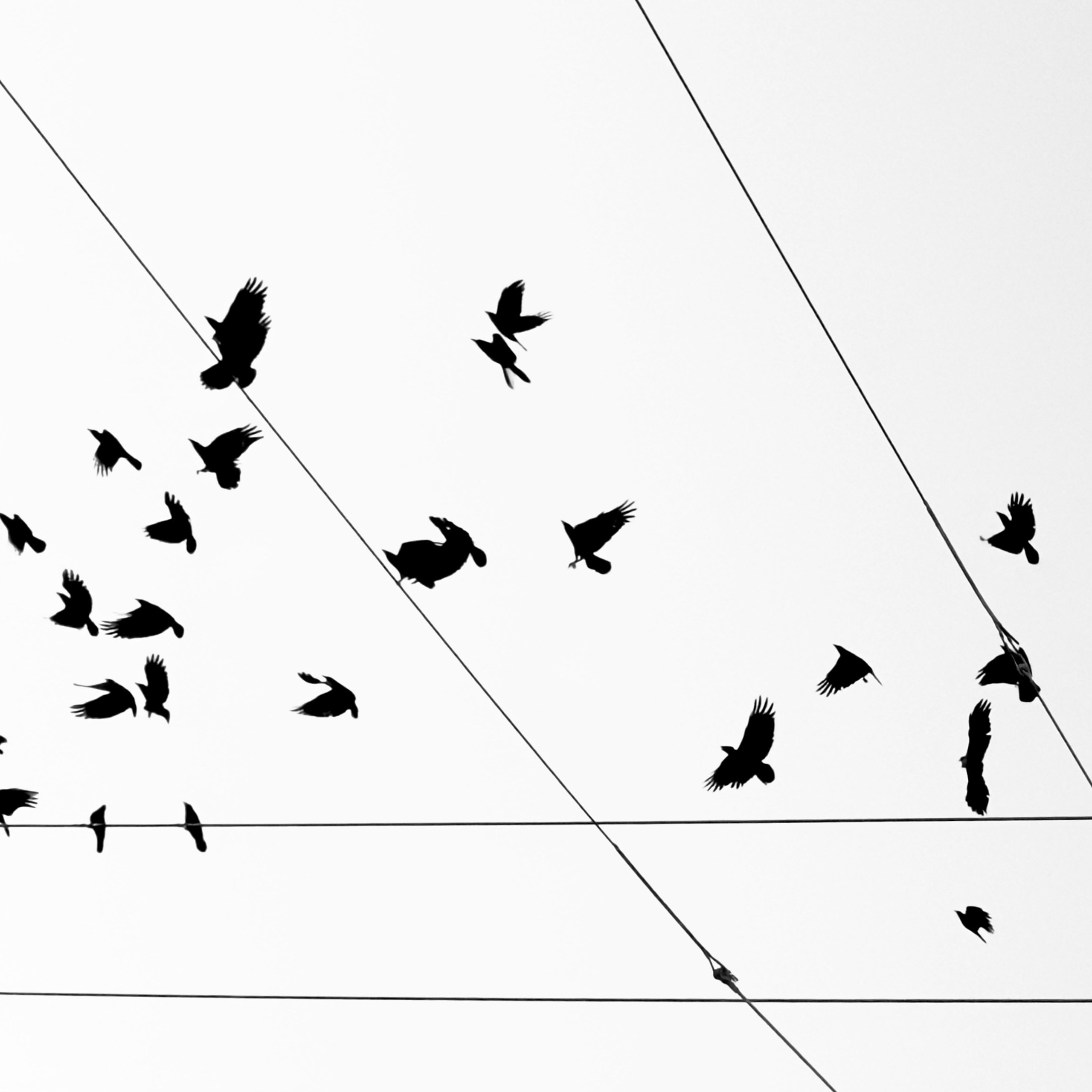 GEOMETRY. Julia Kantor | Architecture & Abstract Photographer