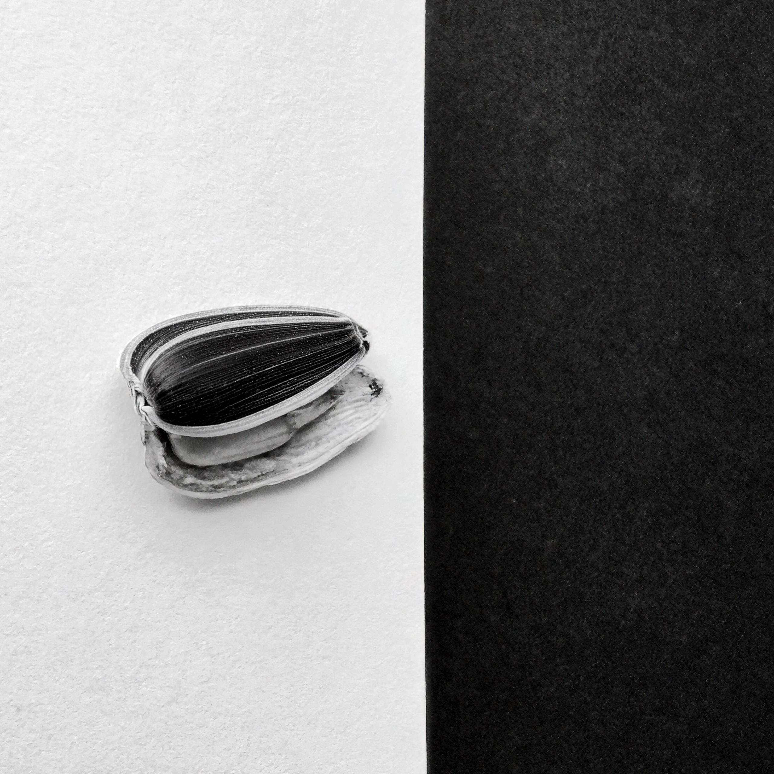 SEEDS. Julia Kantor | Architecture & Abstract Photographer