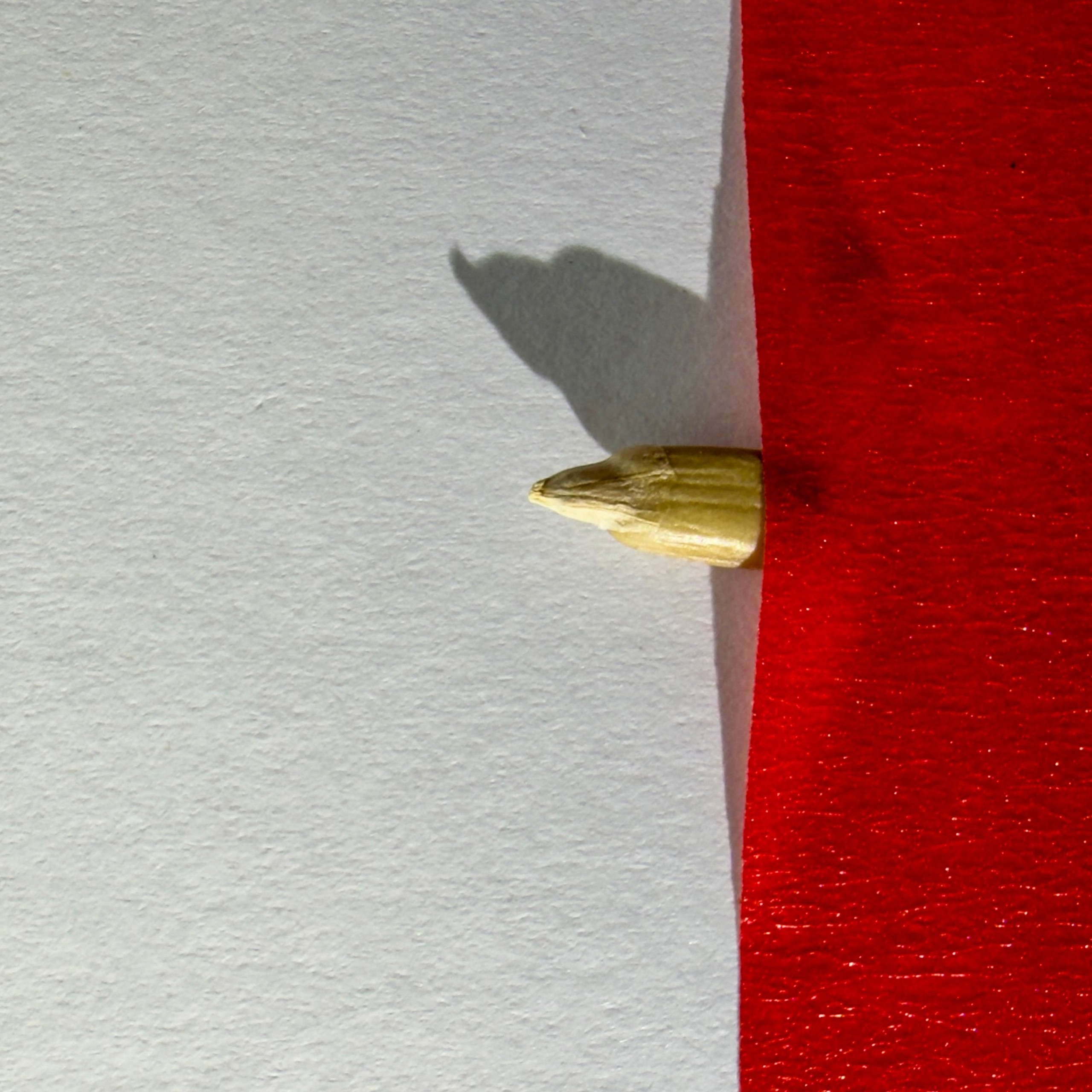 SEEDS. Julia Kantor | Architecture & Abstract Photographer