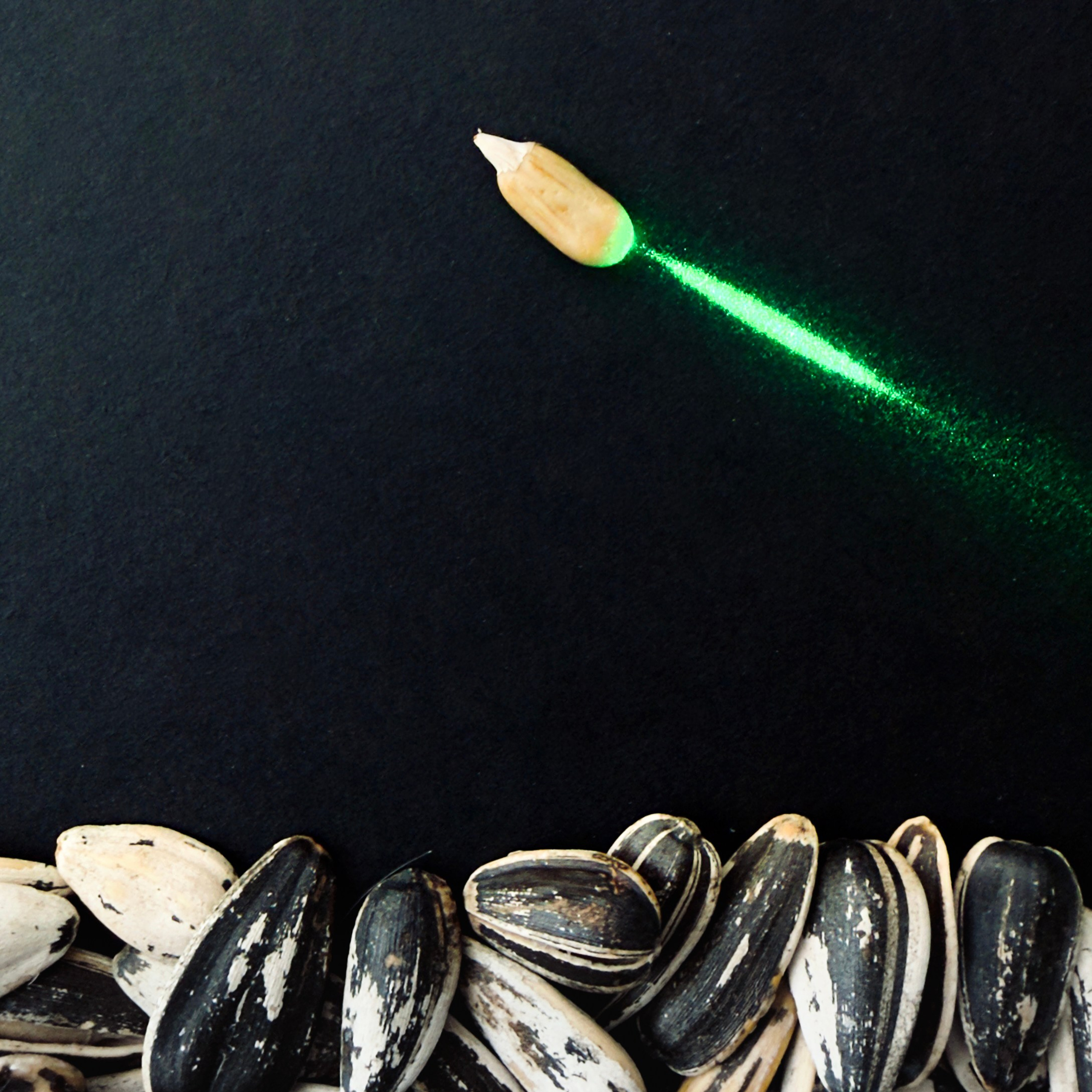 SEEDS. Julia Kantor | Architecture & Abstract Photographer