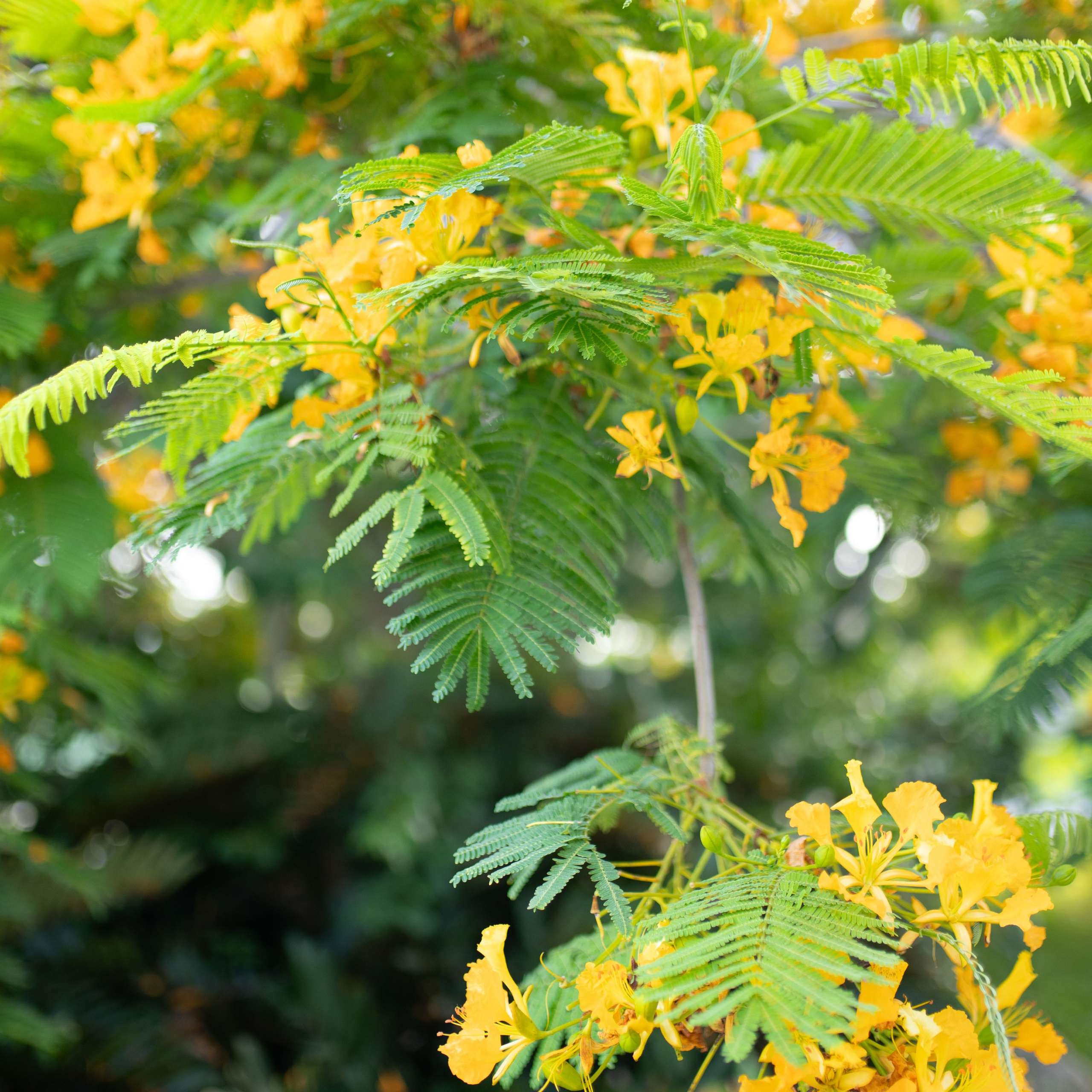 Reviews — Photographer Valiko Proskurnin