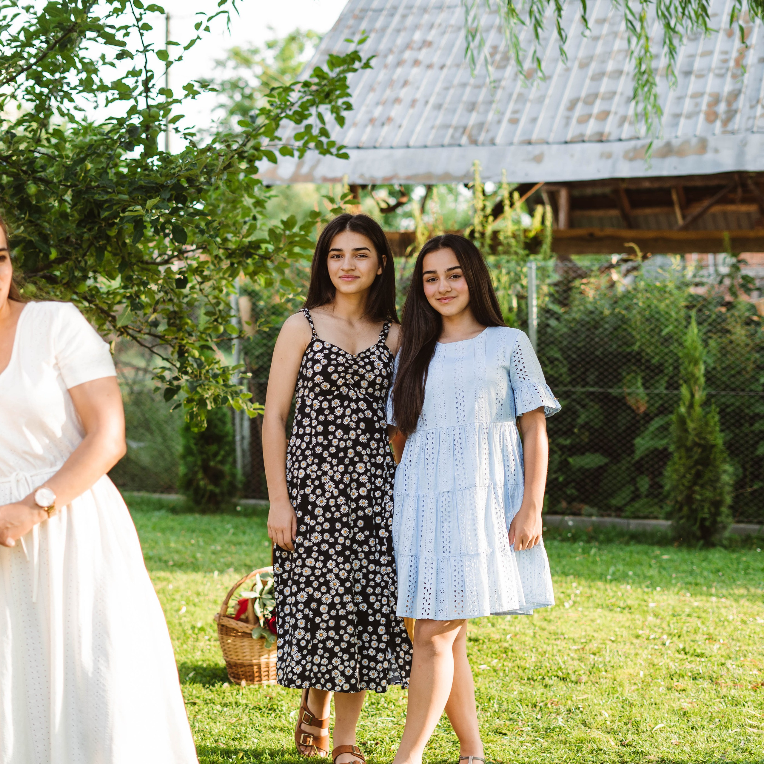 Familia Bodea