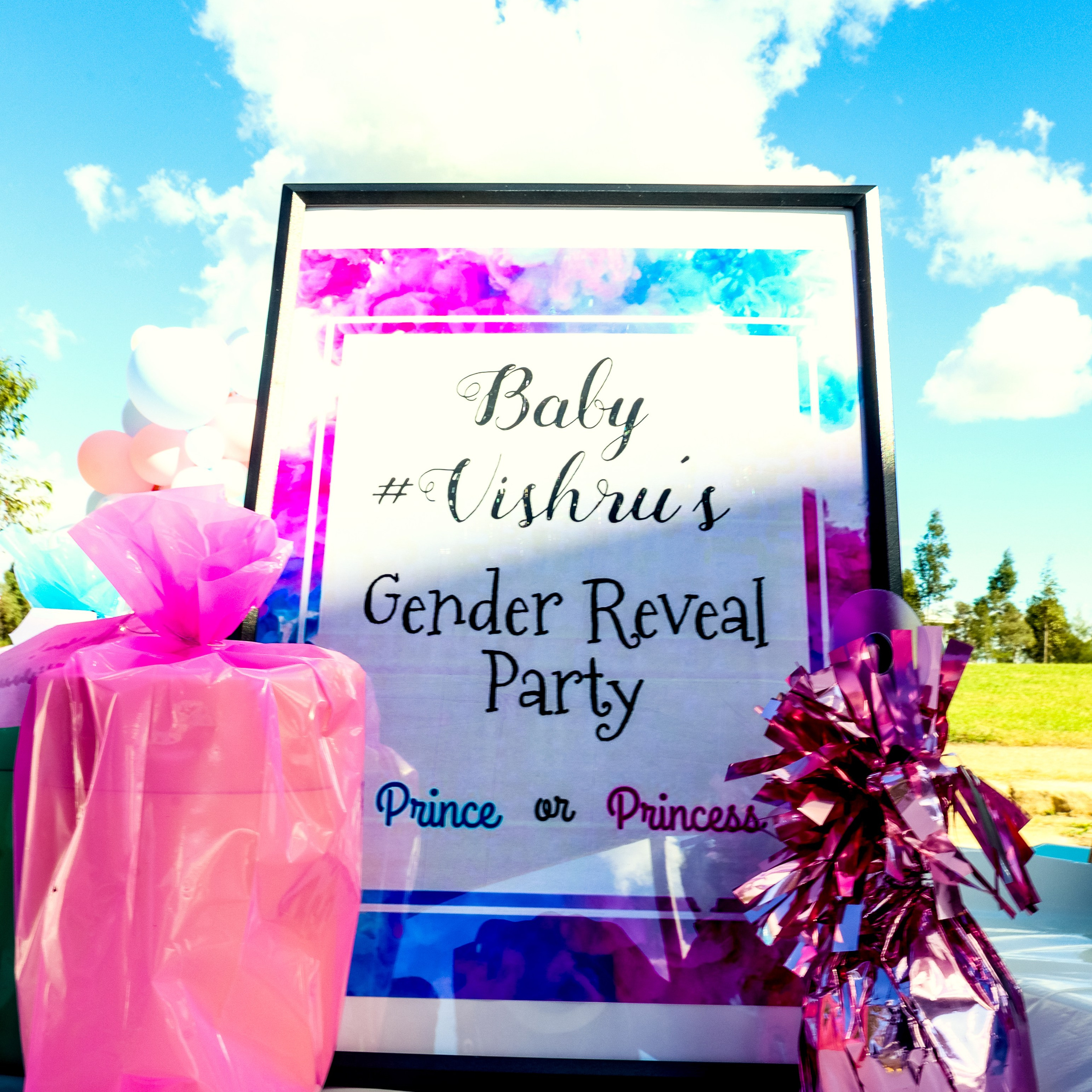 Gender and name Reveal