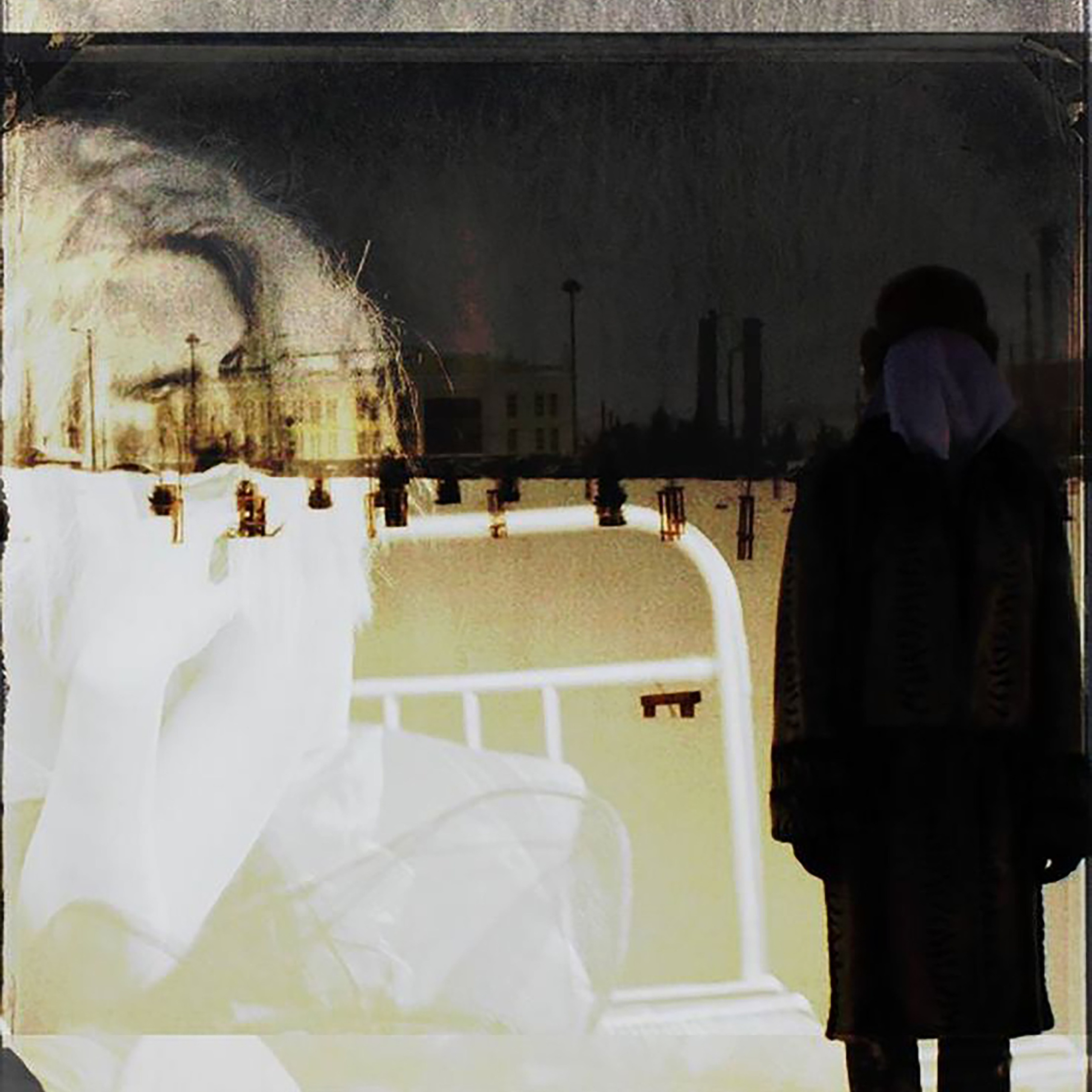 Leni Smoragdova, series A Portrait of power- what can't be washed