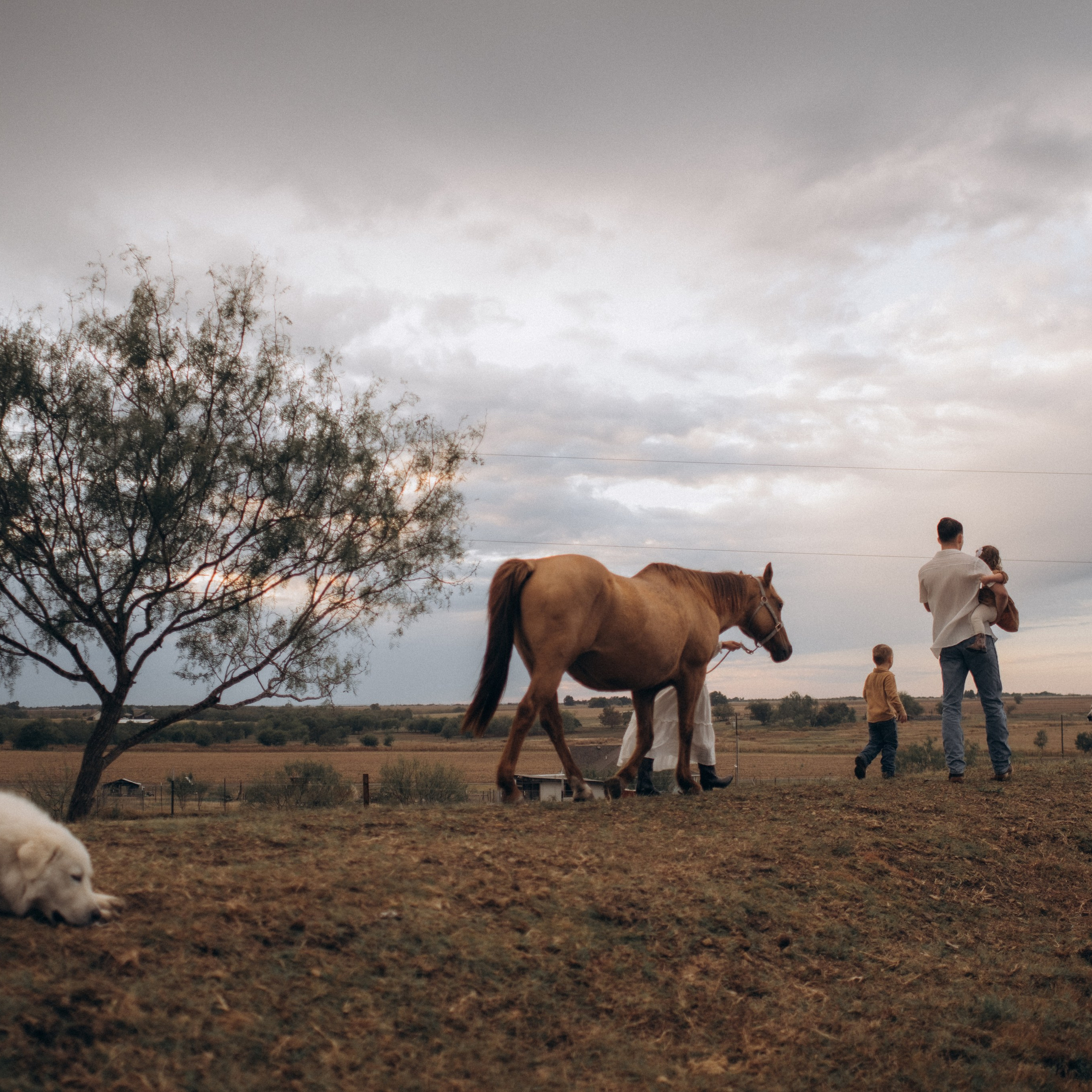 Testimonials. Lens Captures Life