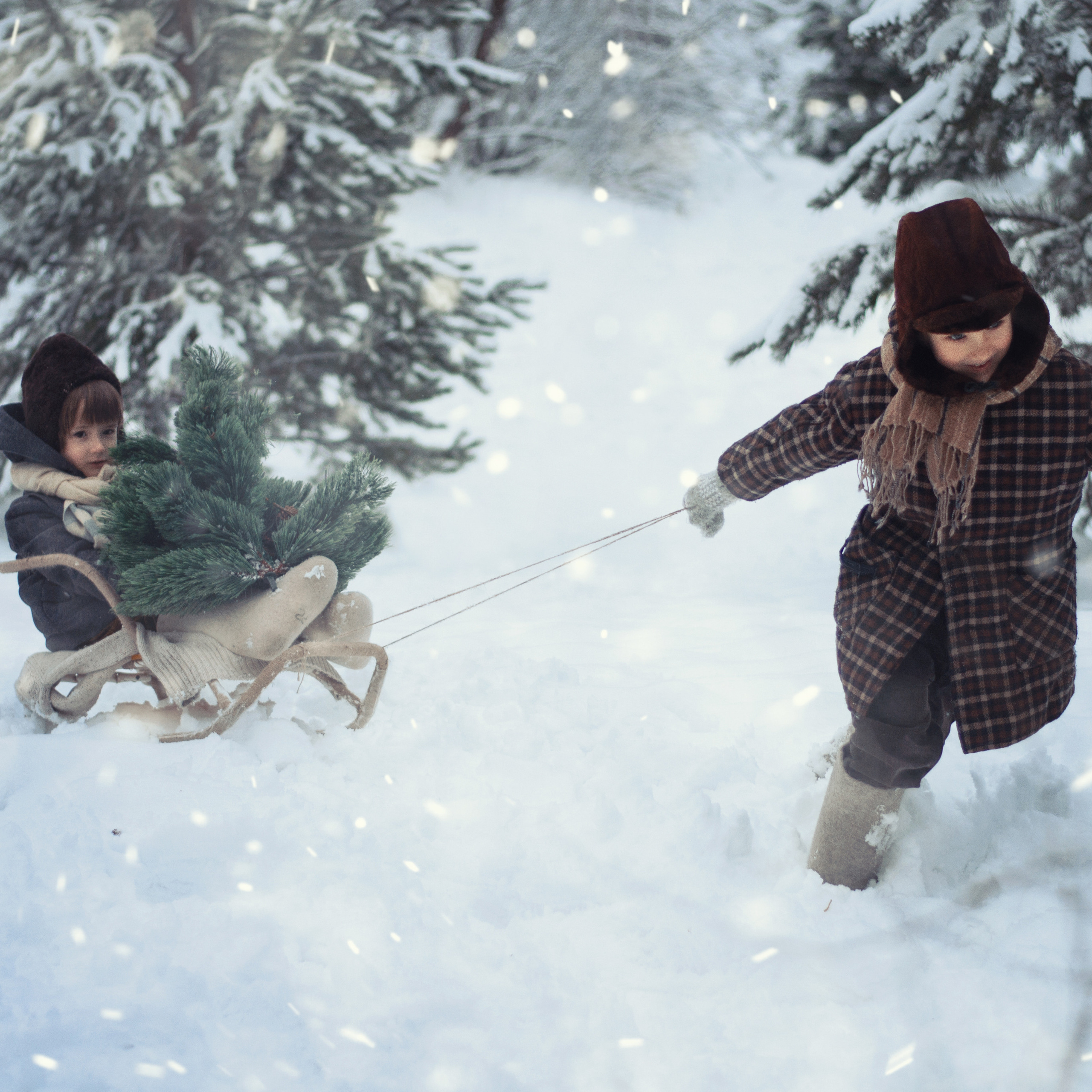 Рождественское чудо