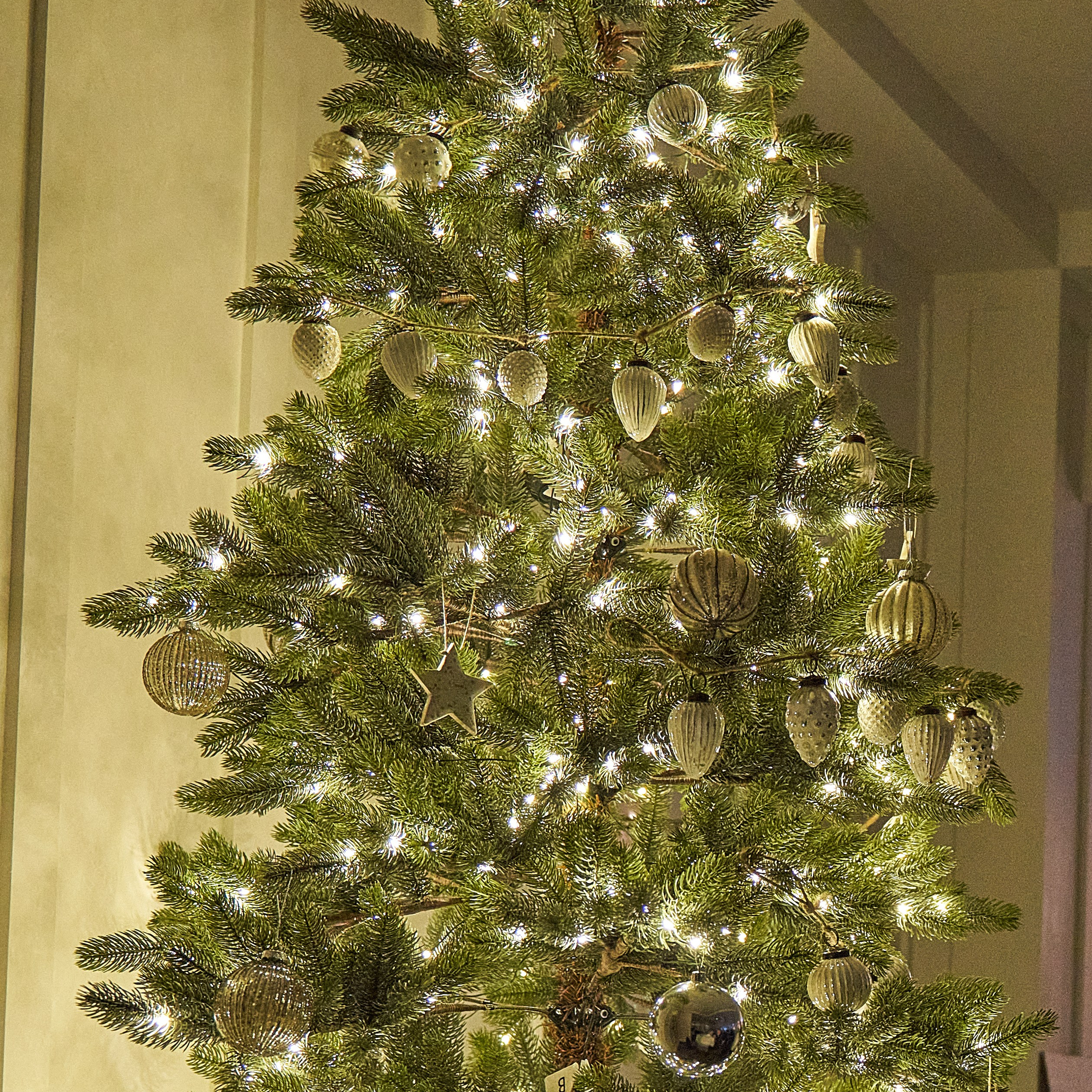 383 CDO Xmas Party 2021