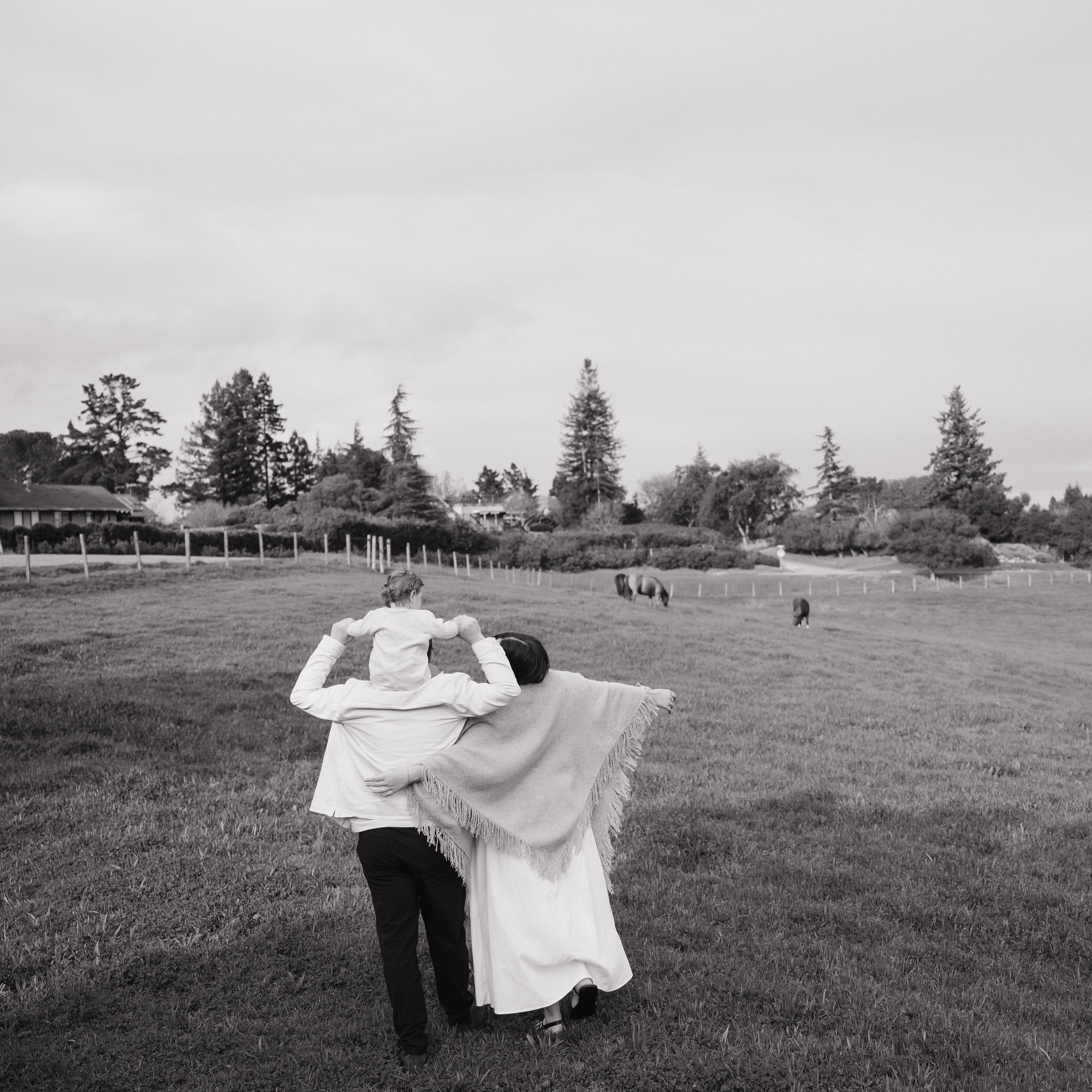 Testimonials. Soulo Photography | San Francisco Bay Area Based Photographer