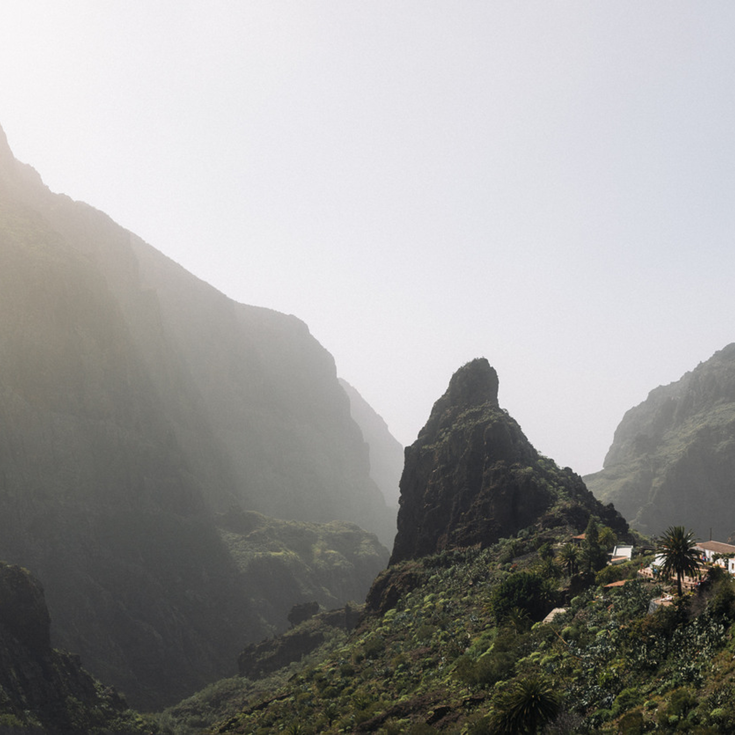 Отзывы. Портретный и семейный фотограф, Anton Hansen, в Таллинне, Эстония