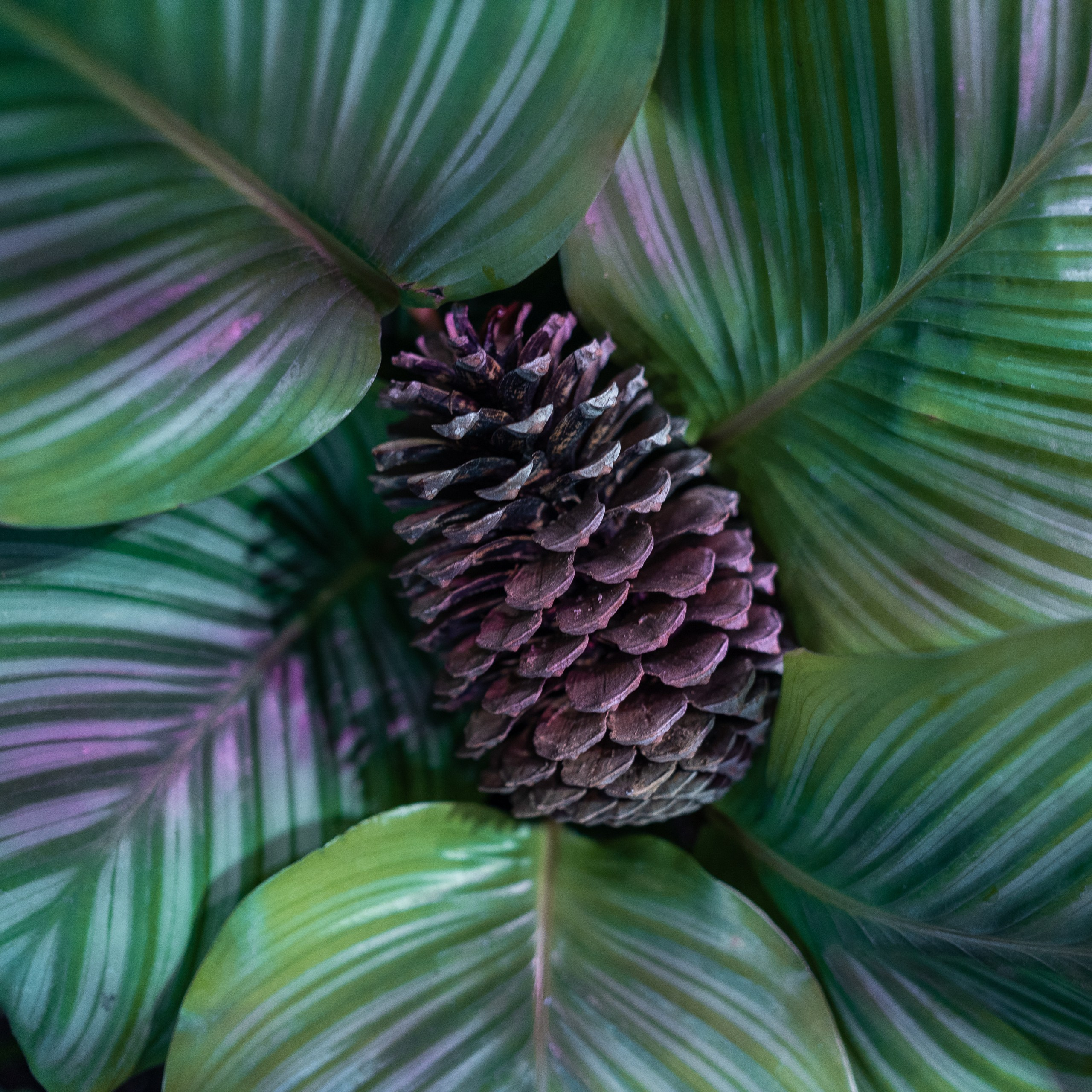 Отзывы. Портретный и семейный фотограф, Anton Hansen, в Таллинне, Эстония