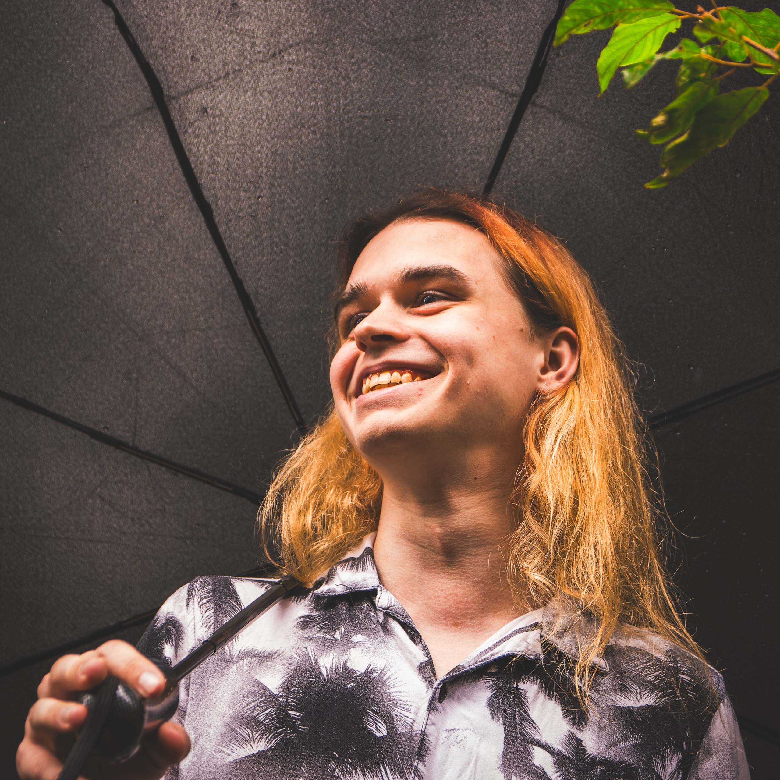 Arvamused. Nebula 25 — Fotod teie hingele