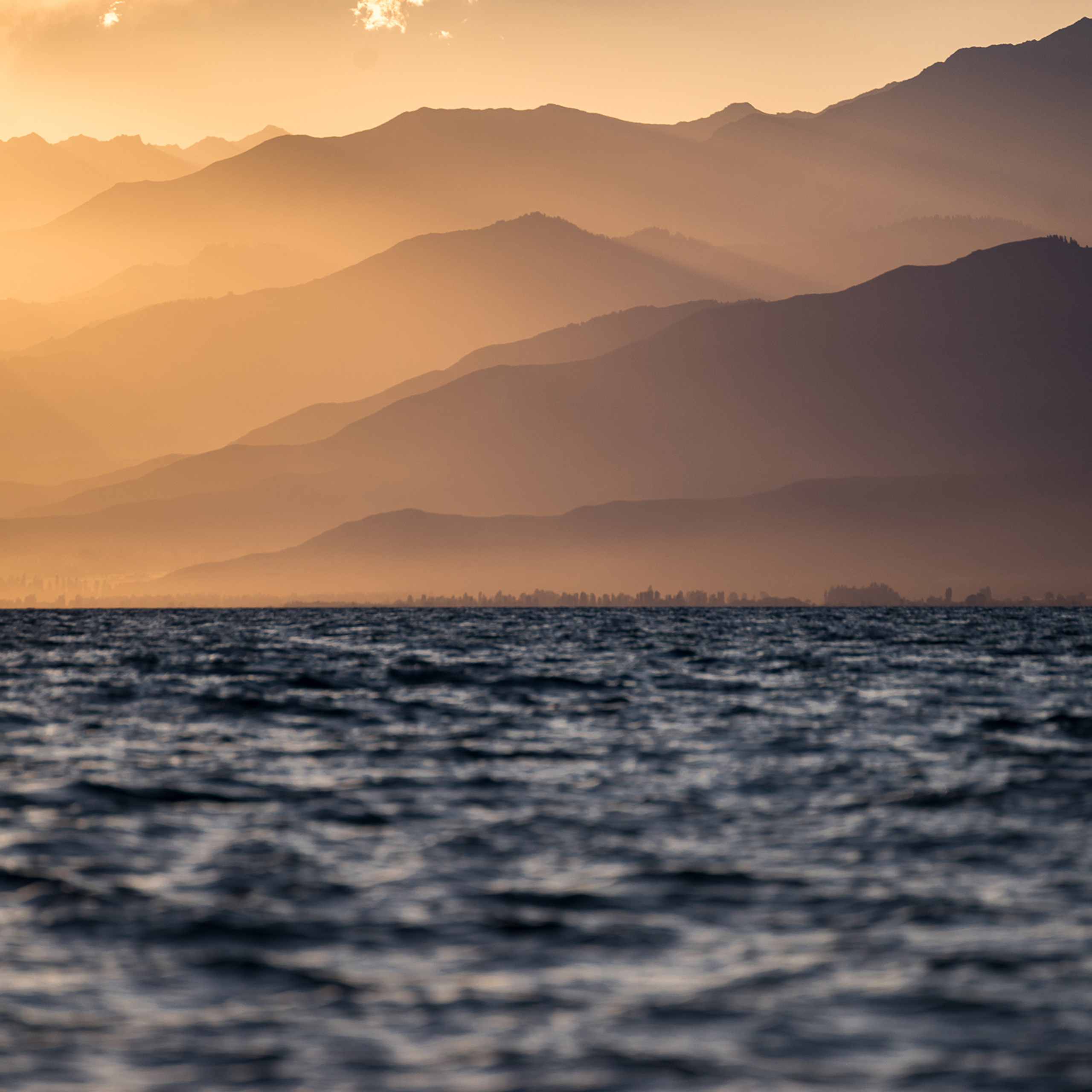 Тематическая