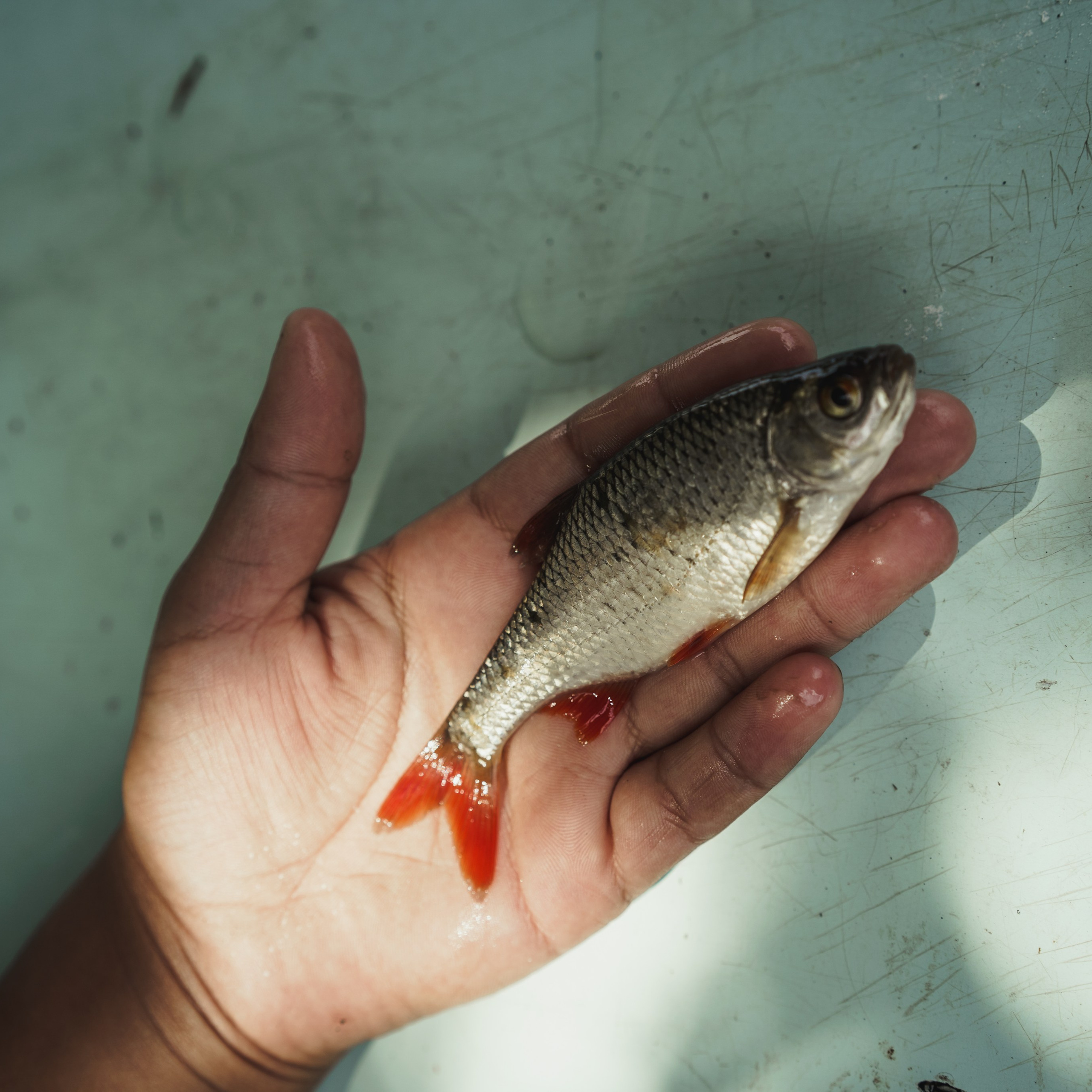 Онлайн курс проектной фотографии Karass Lab. Stanislava Novgorodtseva — Photographer | Visual Artist | Educator
