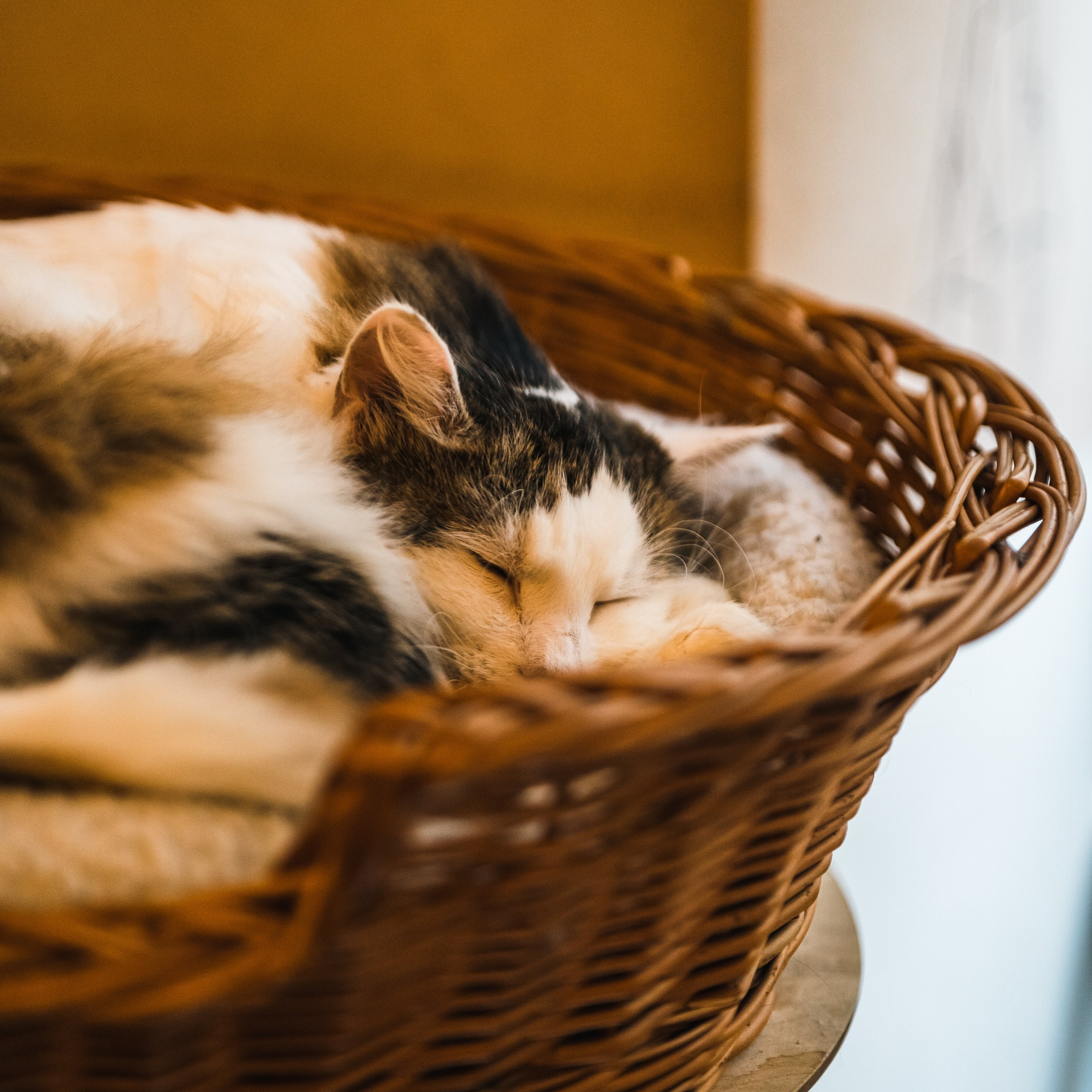 BUDAPEST. MA Visuals — Fotografia e Vídeo