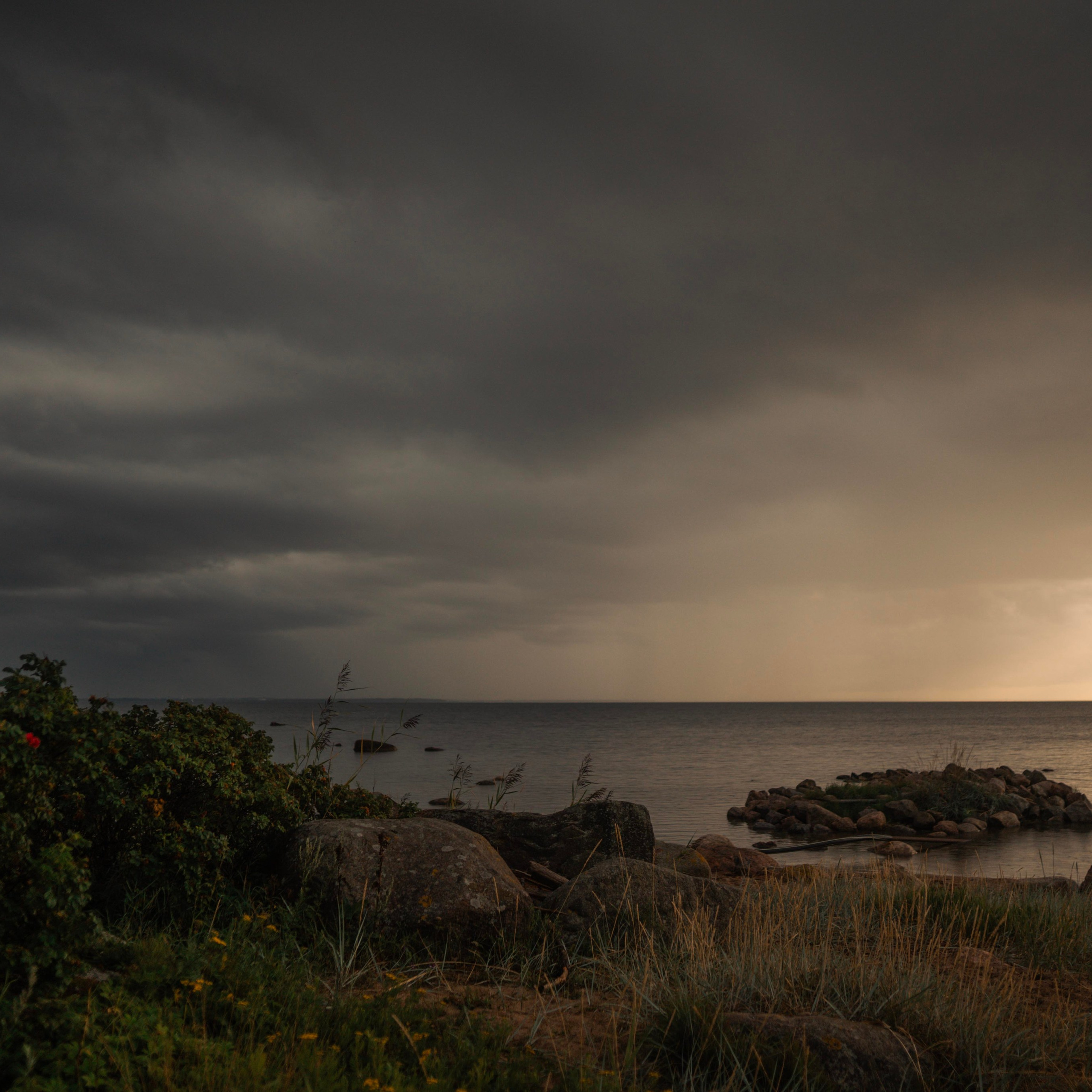 Testimonials. Portrait photographer in Tallinn