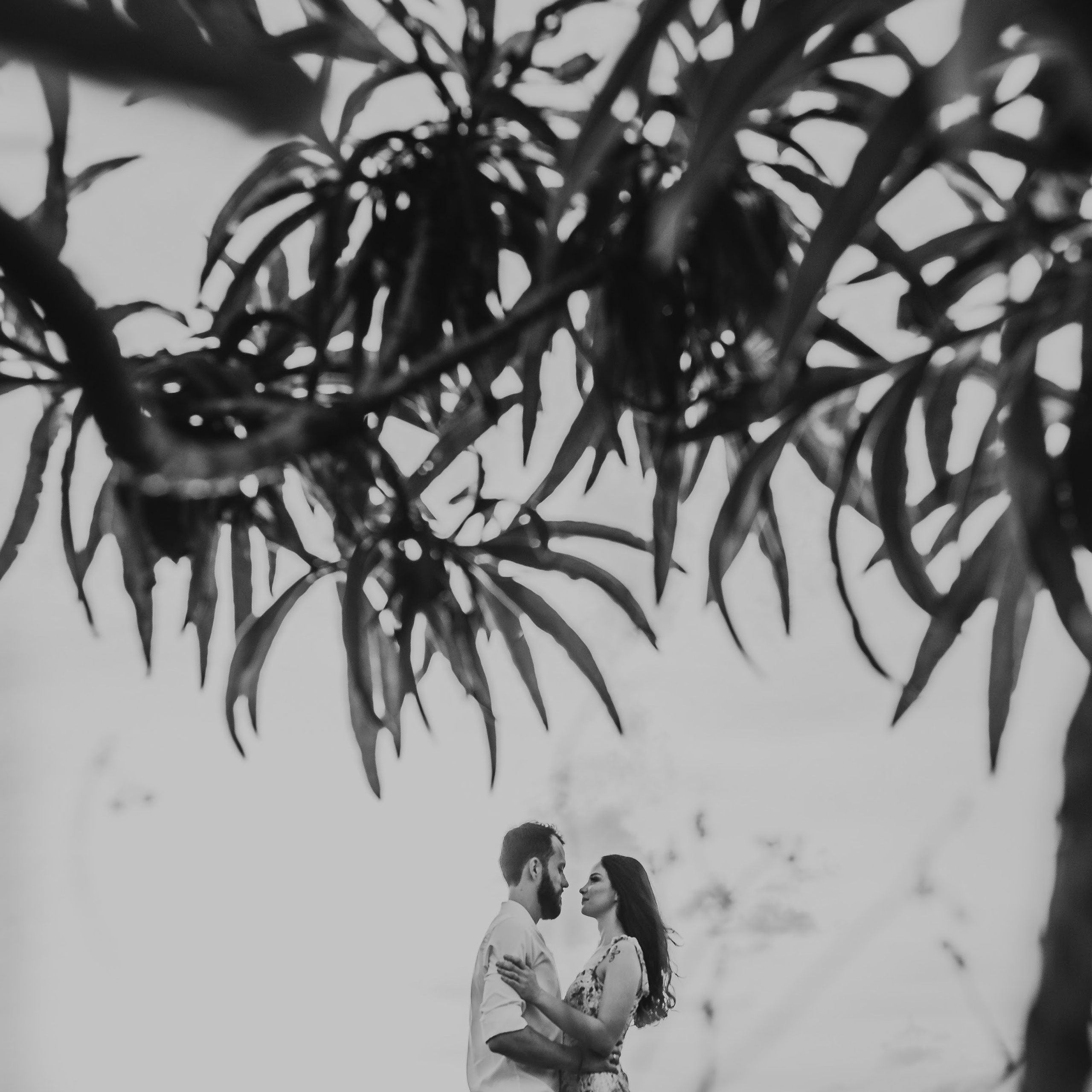 Premiações Internacionais. Fotografia de casamento em Belo Horizonte