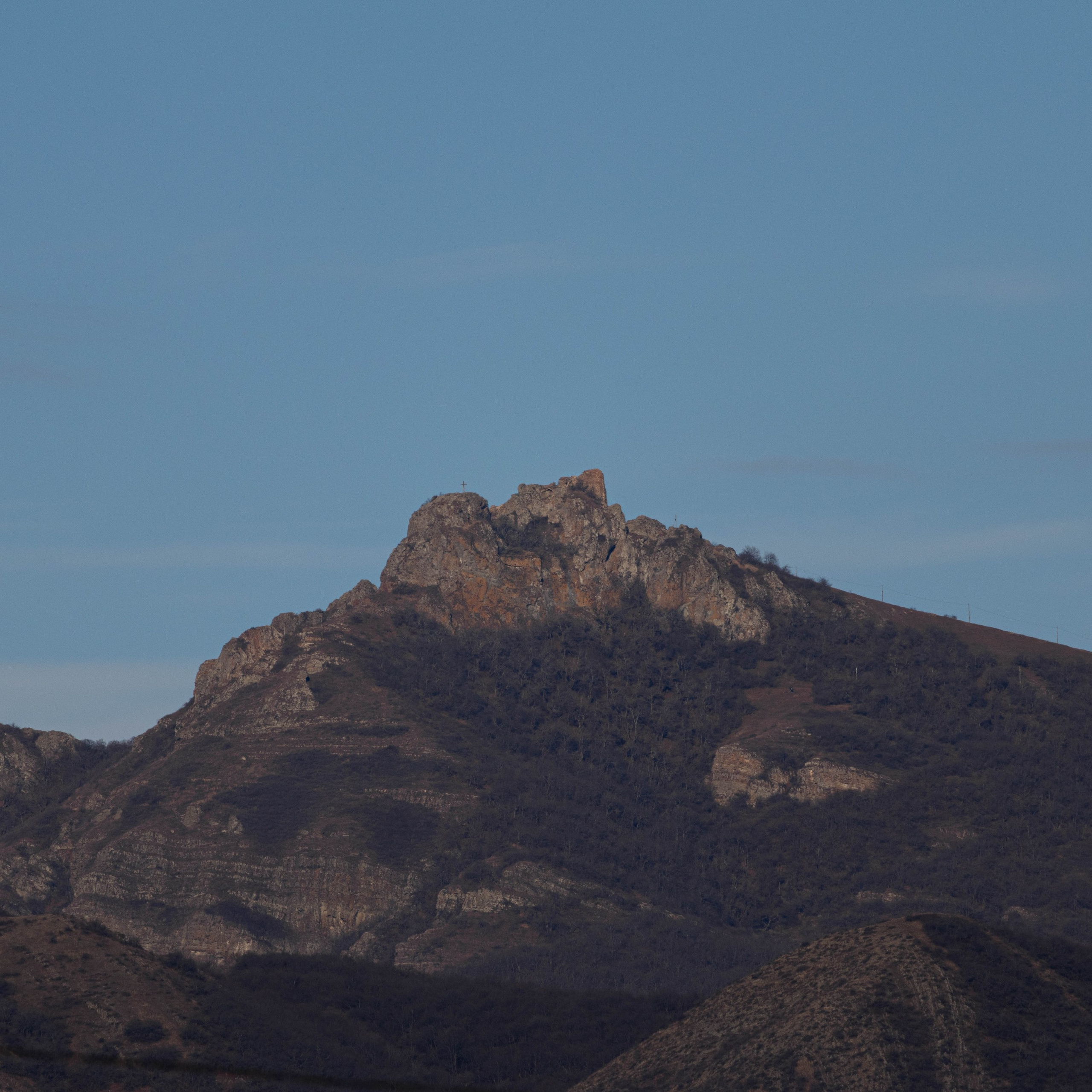 გამოხმაურება და შეფასება. FramefreeMan