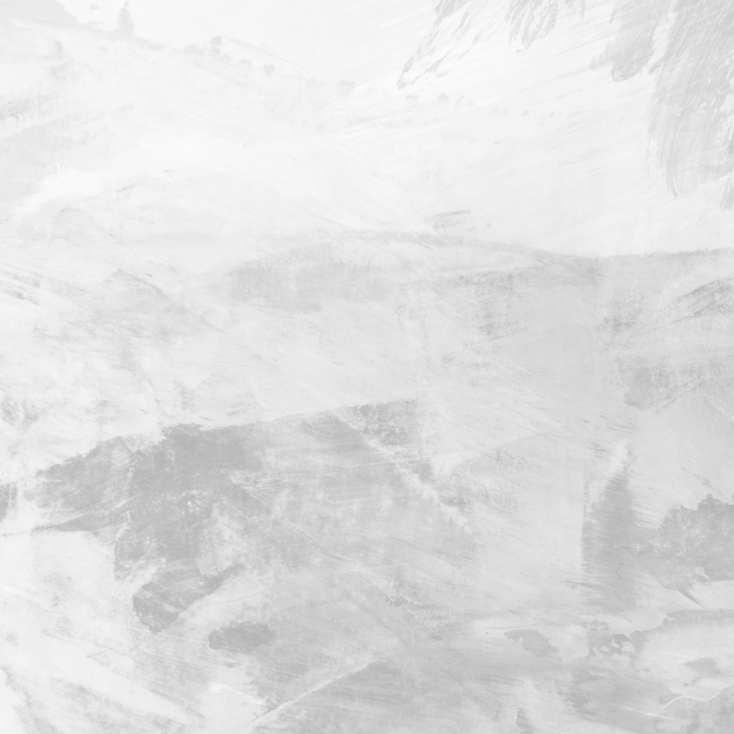 Testimonials. Family and portrait photographer in Milan Daria Volkosh