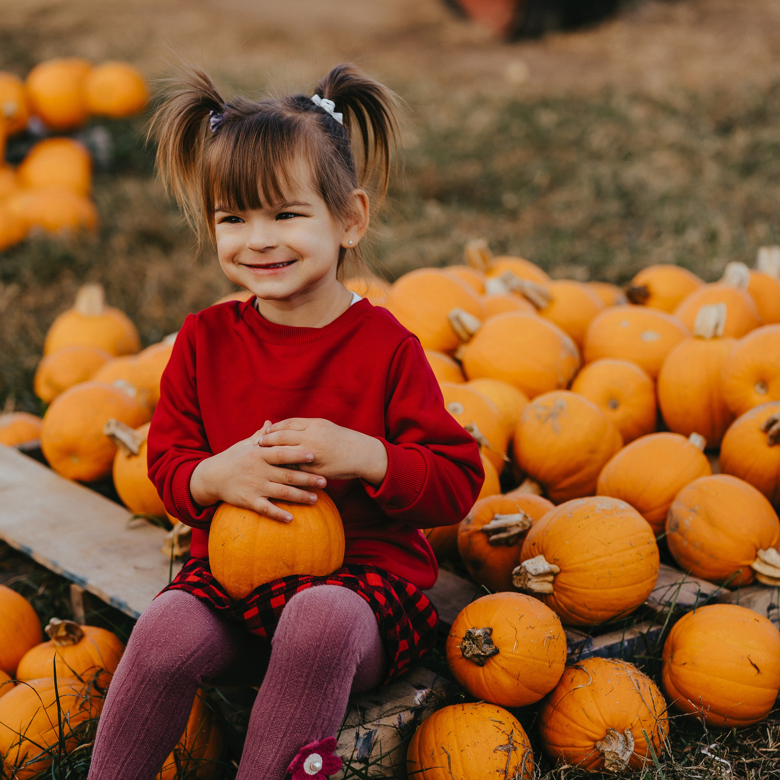 Reviews. Wedding family photographer and videographer California San Francisco Bay Area