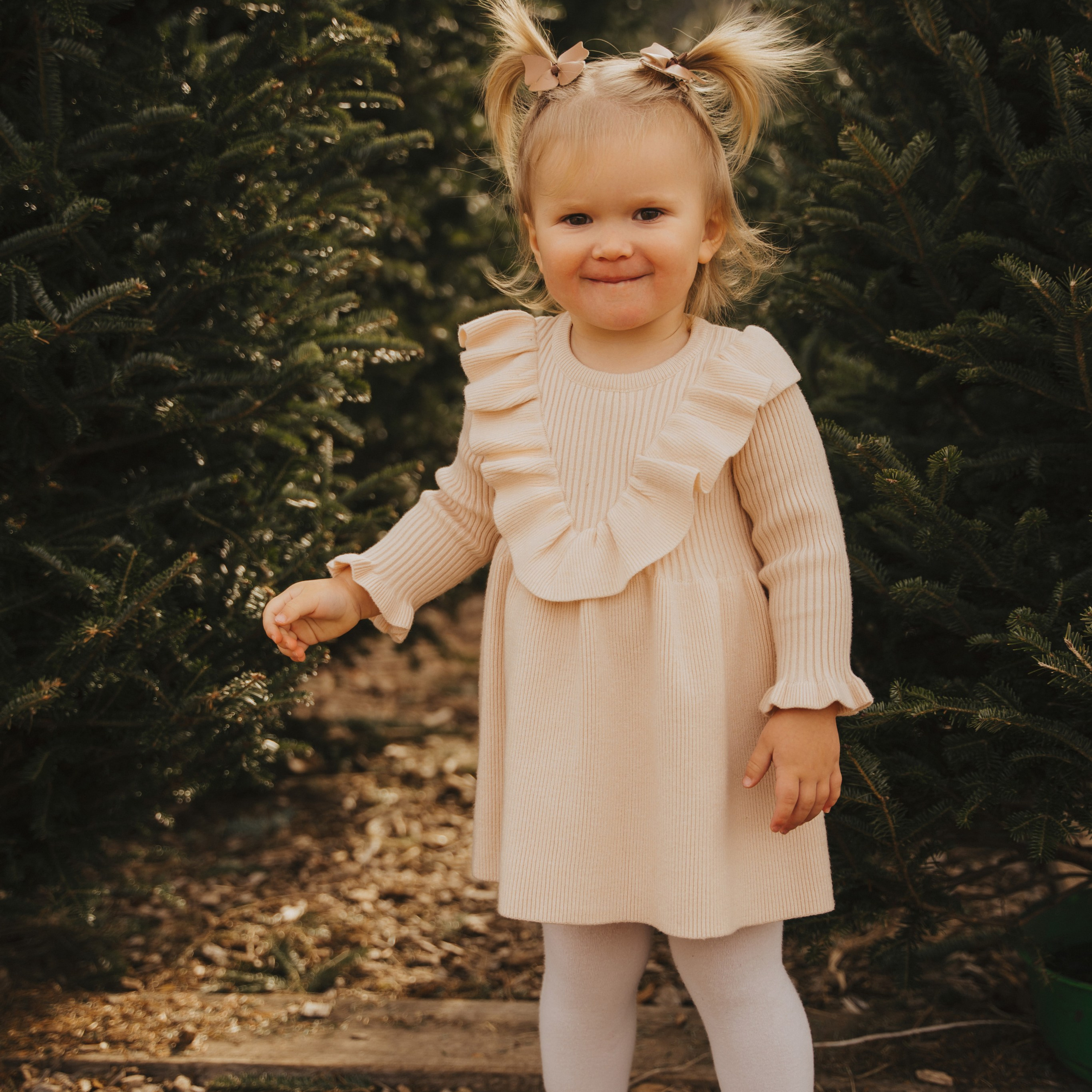 Reviews. Wedding family photographer and videographer California San Francisco Bay Area