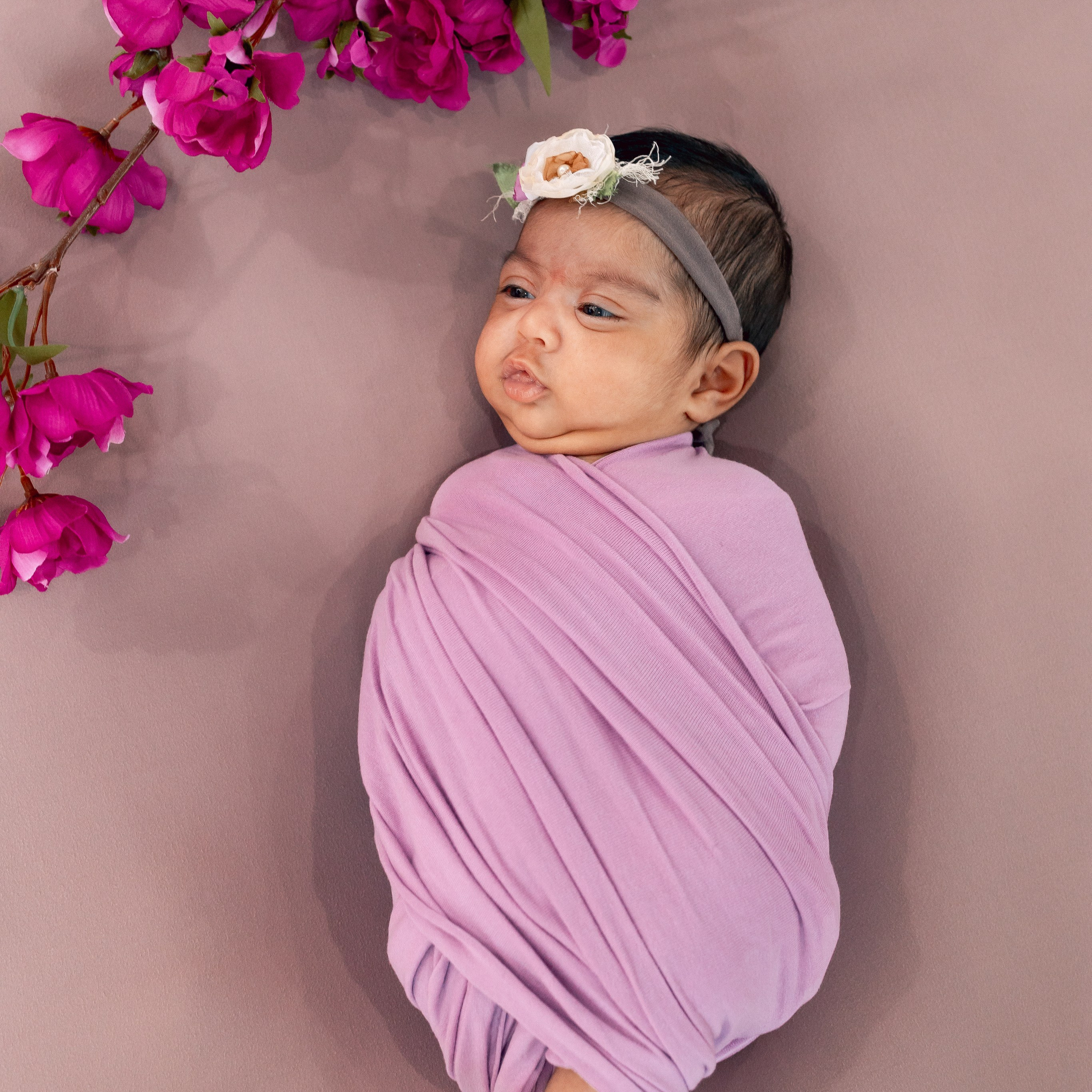 Testimonials. Anaeliseevaphoto.com