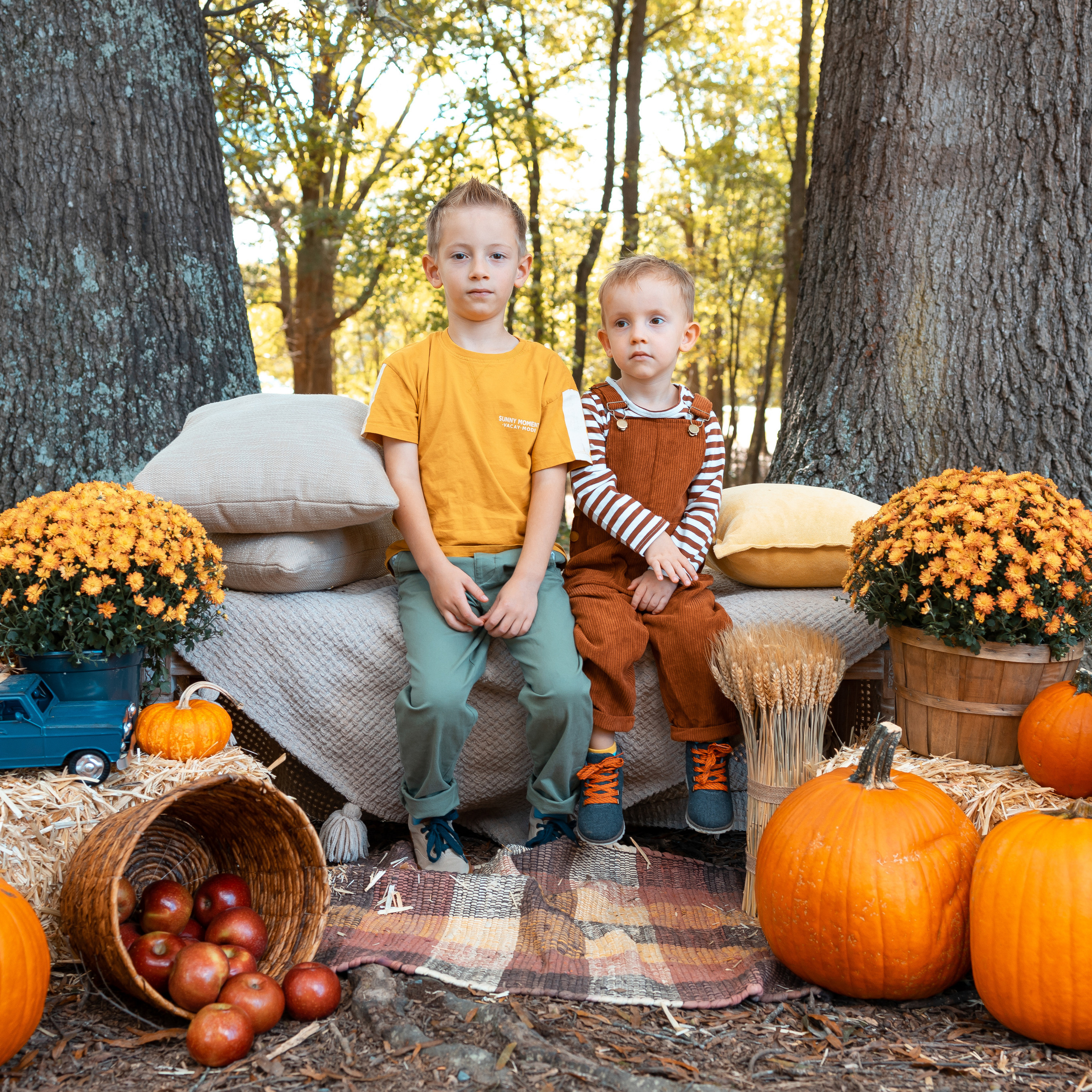 Testimonials. Anaeliseevaphoto.com