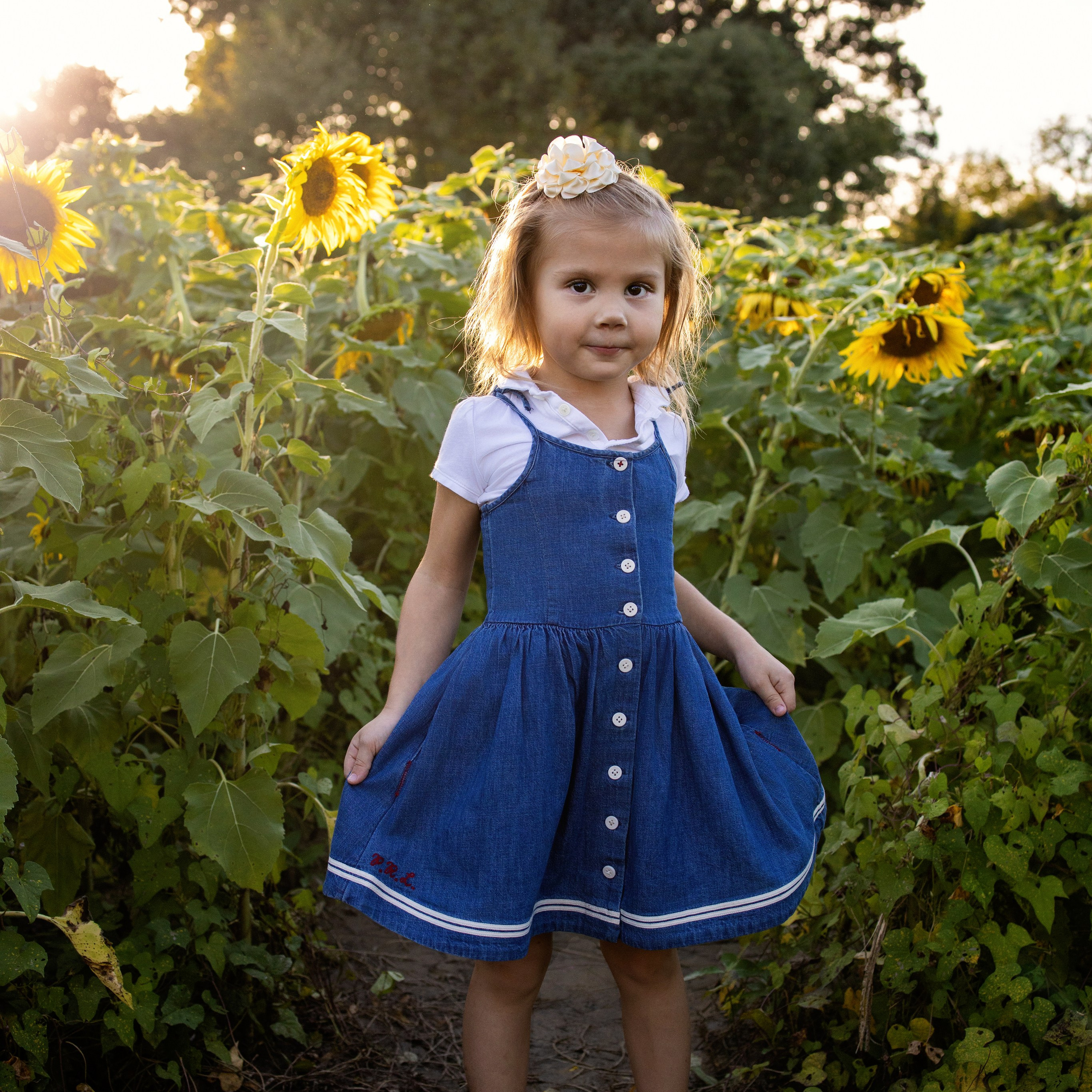 Testimonials. Anaeliseevaphoto.com