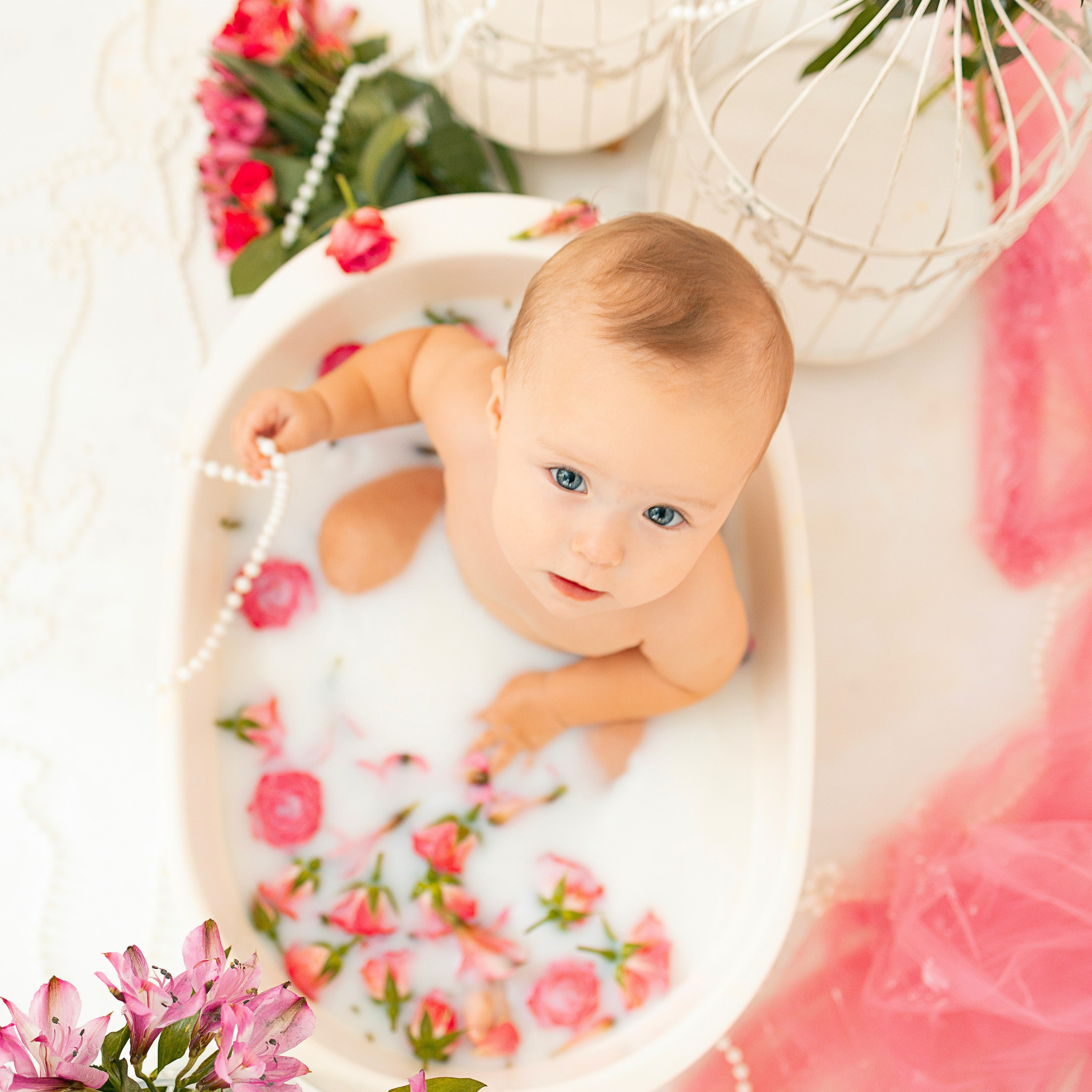 Testimonials. Anaeliseevaphoto.com