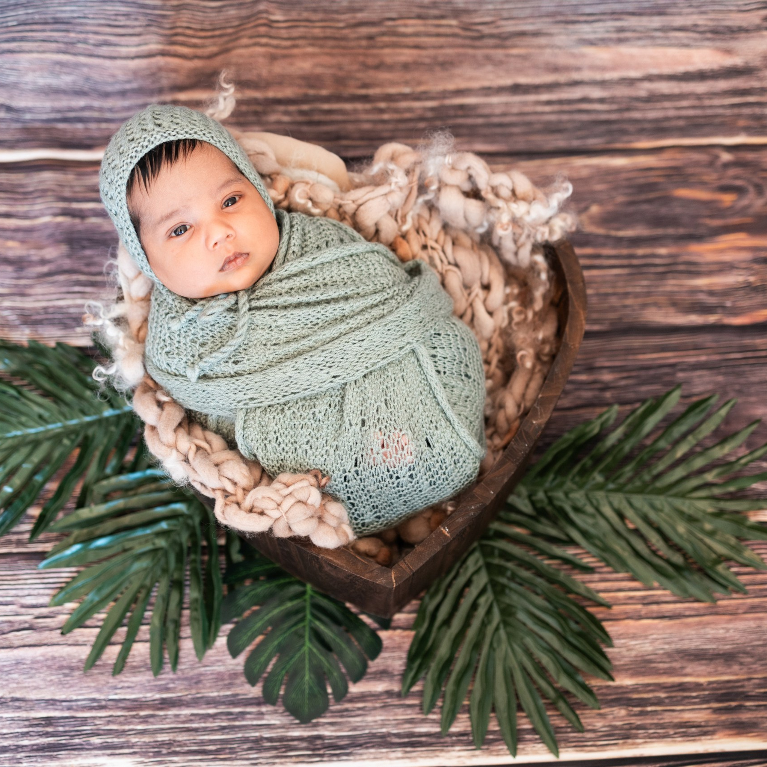 Testimonials. Anaeliseevaphoto.com