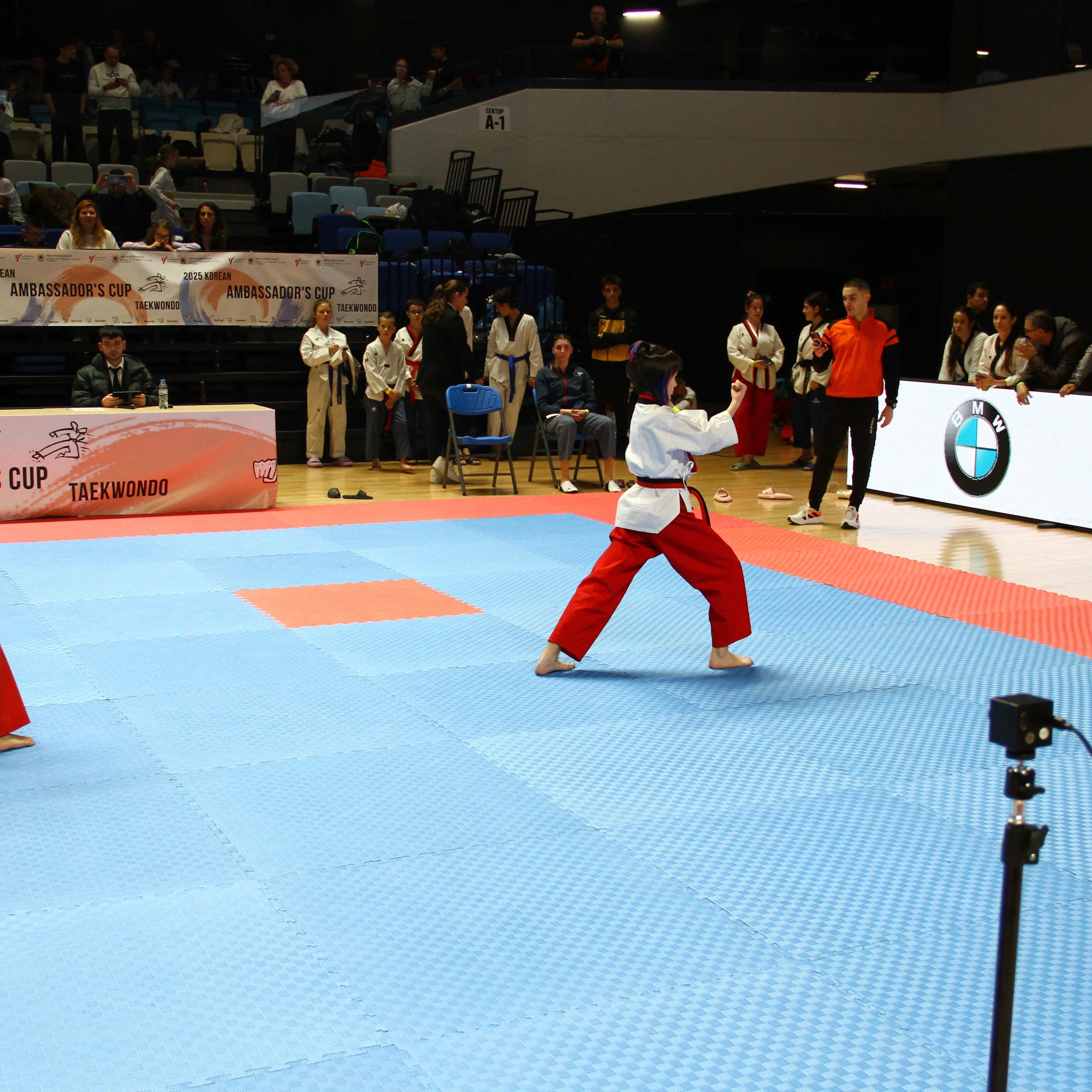 2025-12-13, Ambassadors Cup, Самоков, Pomsee