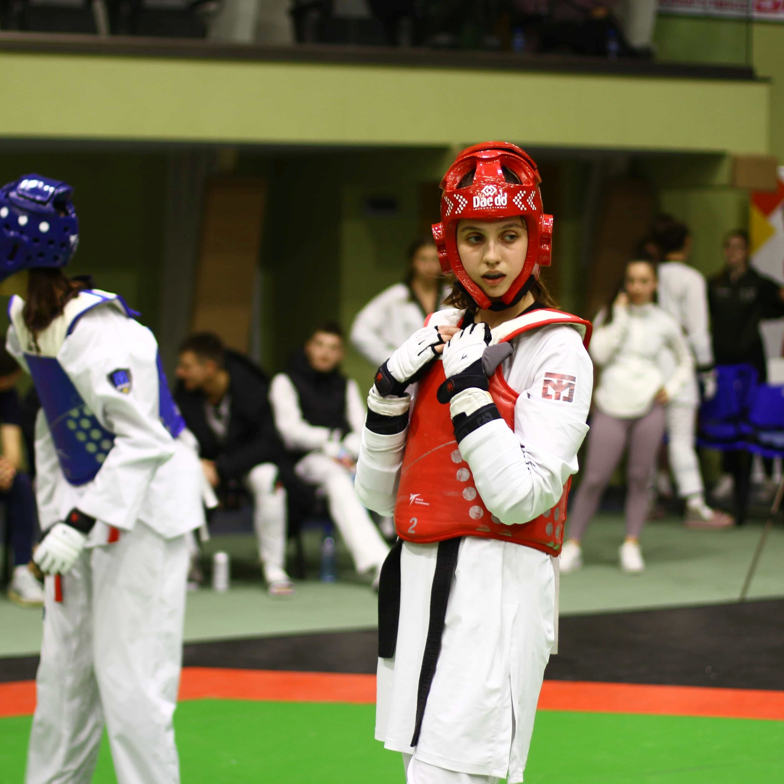 2025-02-02, Държавно Първенство по Таекуондо, Пловдив