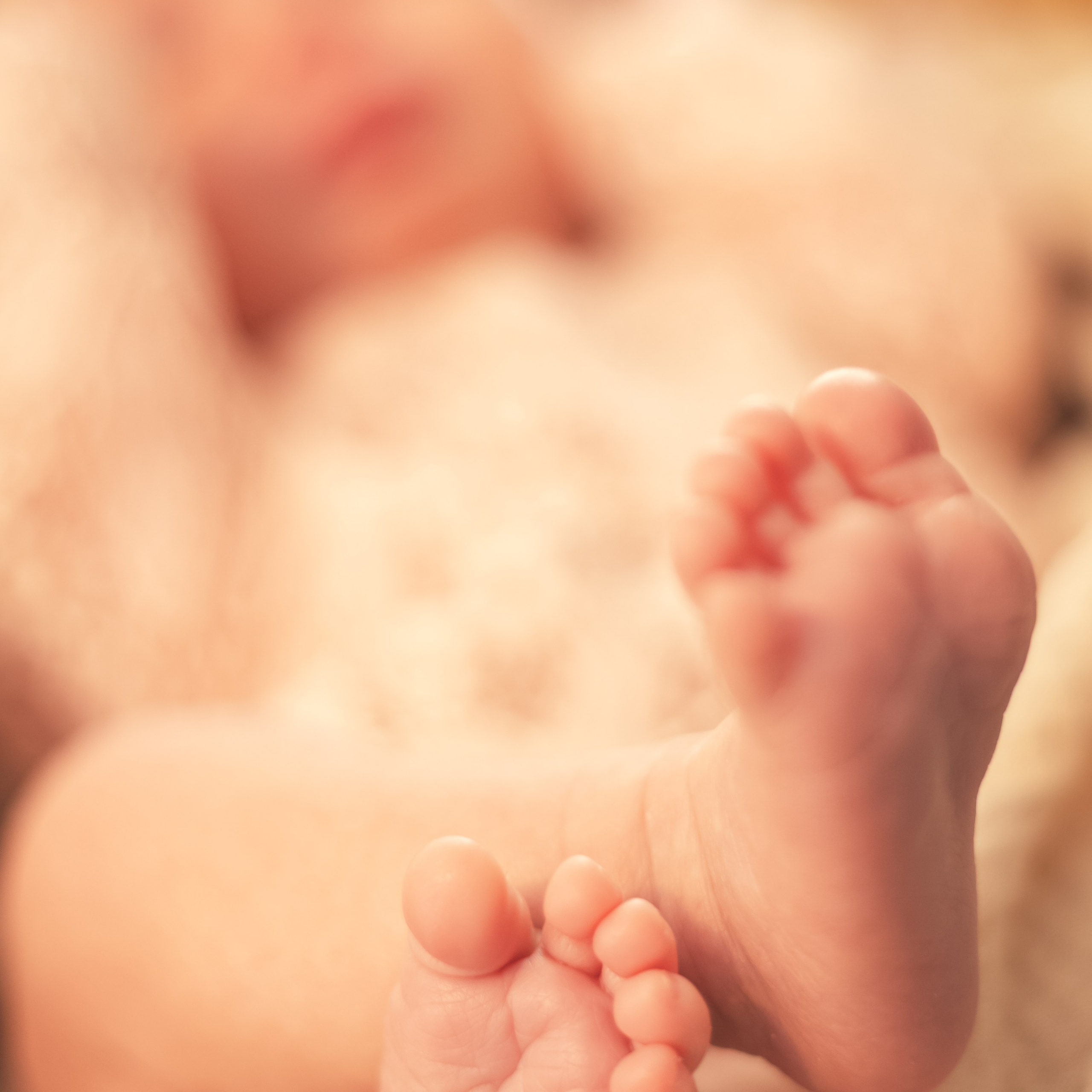 Newborn