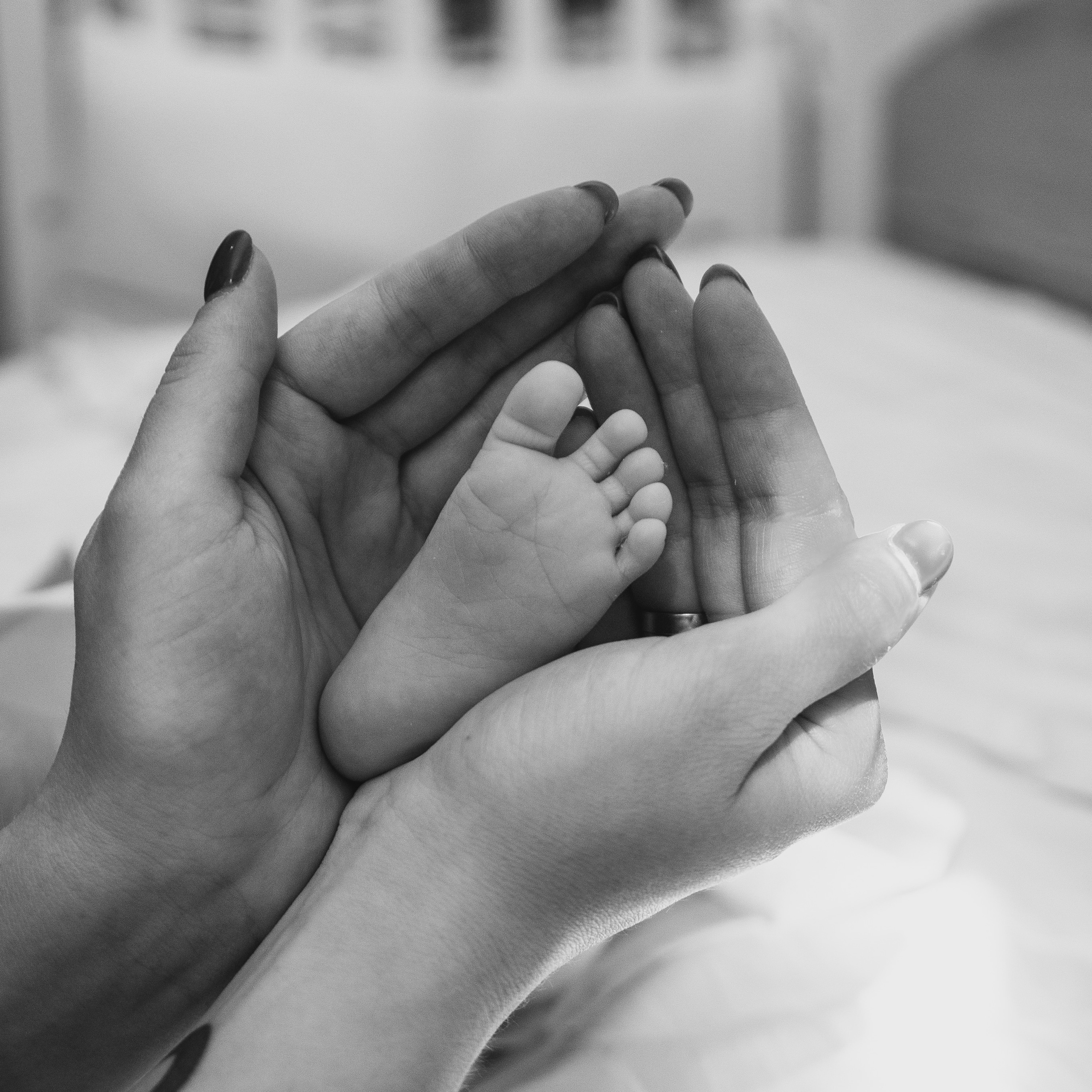 Отзывы. Выпускные альбомы